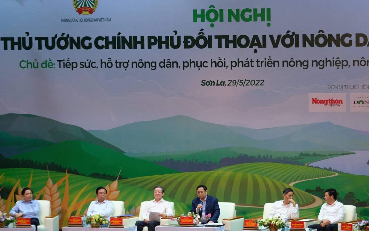 Nông dân mong Thủ tướng 'vi hành' xuống nông, lâm trường để thấy 'chuyện nhức nhối' - Ảnh 3.