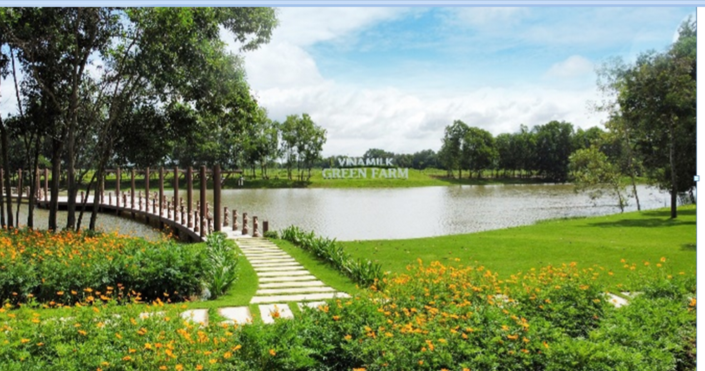 Giới thiệu mô hình phát triển bền vững ngành sữa Việt Nam tại hội nghị sữa toàn cầu - Ảnh 3.