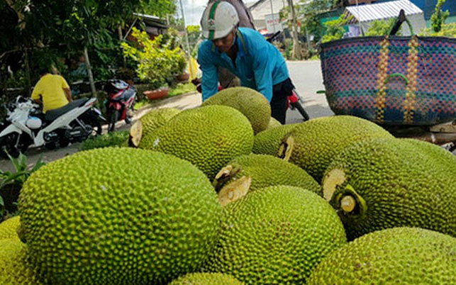 Hoa thơm trái ngọt ngập tràn Lễ hội Trái cây Nam Bộ 2024- Ảnh 13. Để cây trái Tây Nam Bộ