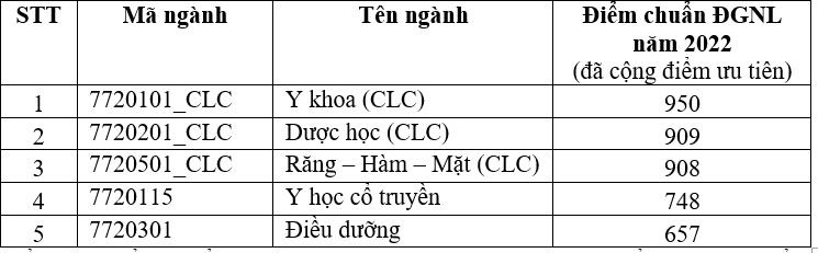 Khoa Y ĐH Quốc gia TP.HCM: điểm chuẩn đánh giá năng lực ngành y khoa 950 - Ảnh 3.