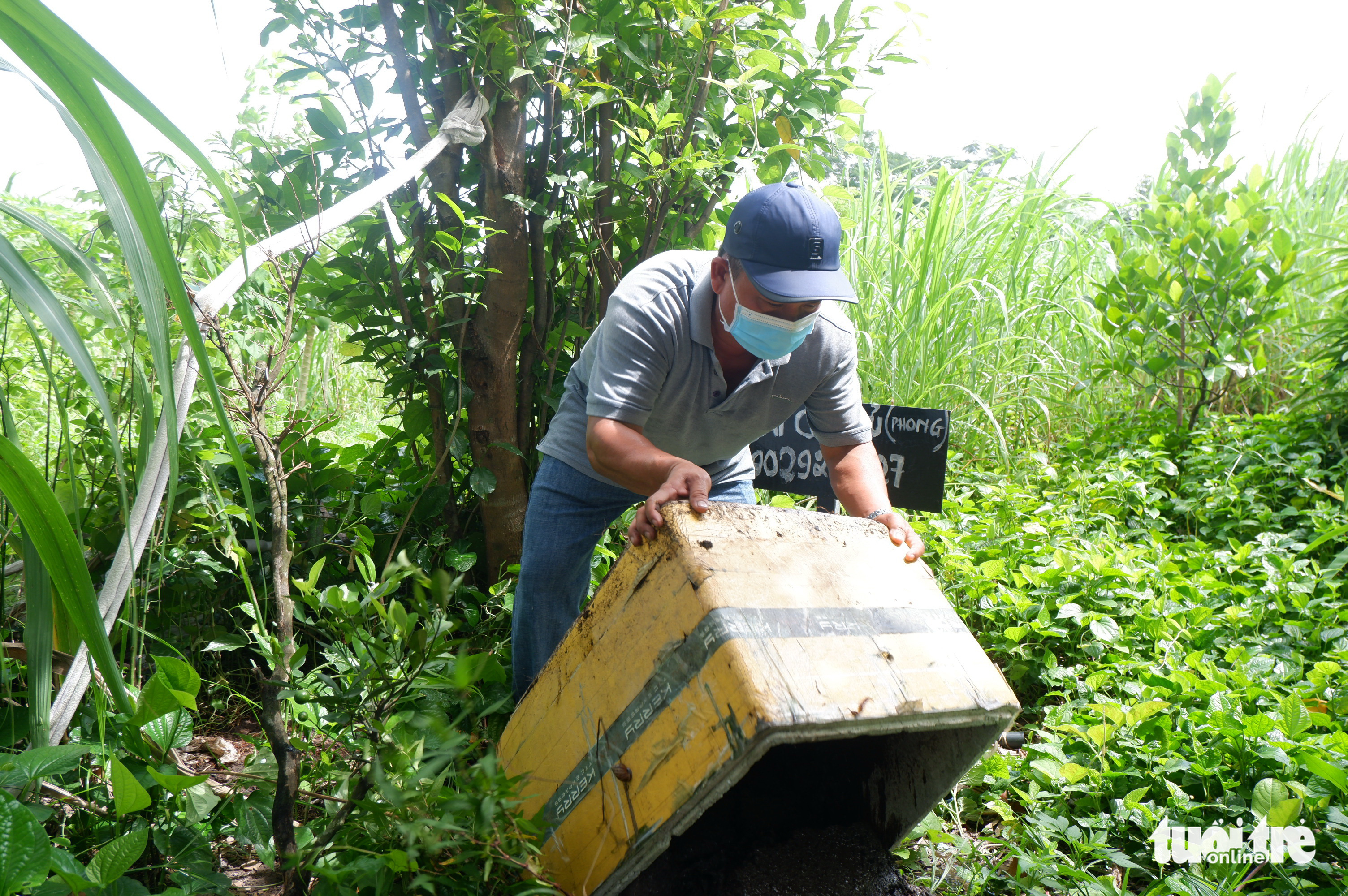 Diệt lăng quăng đừng quên trị muỗi trong nhà - Ảnh 1. Diệt lăng quăng đừng quên trị muỗi trong nhà - Ảnh 1.