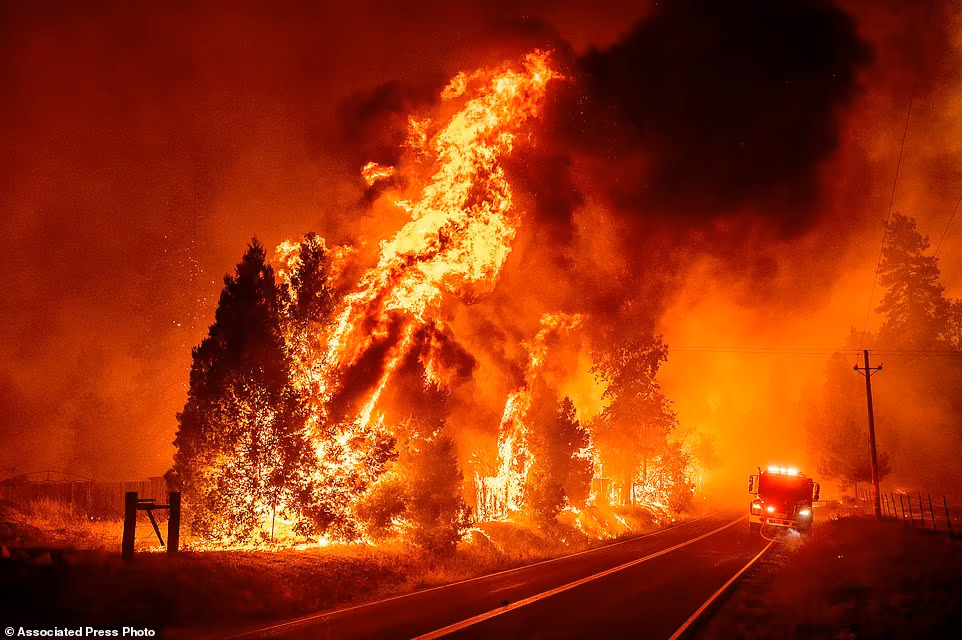 Cháy rừng kinh hoàng ở California, hơn 10.000 người sơ tán - Ảnh 1.