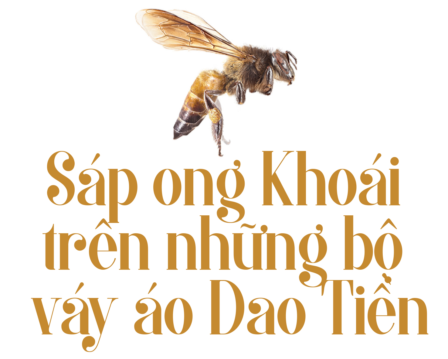 Lên Hoài Khao, ngắm sáp ong, ăn món Dao Tiền
