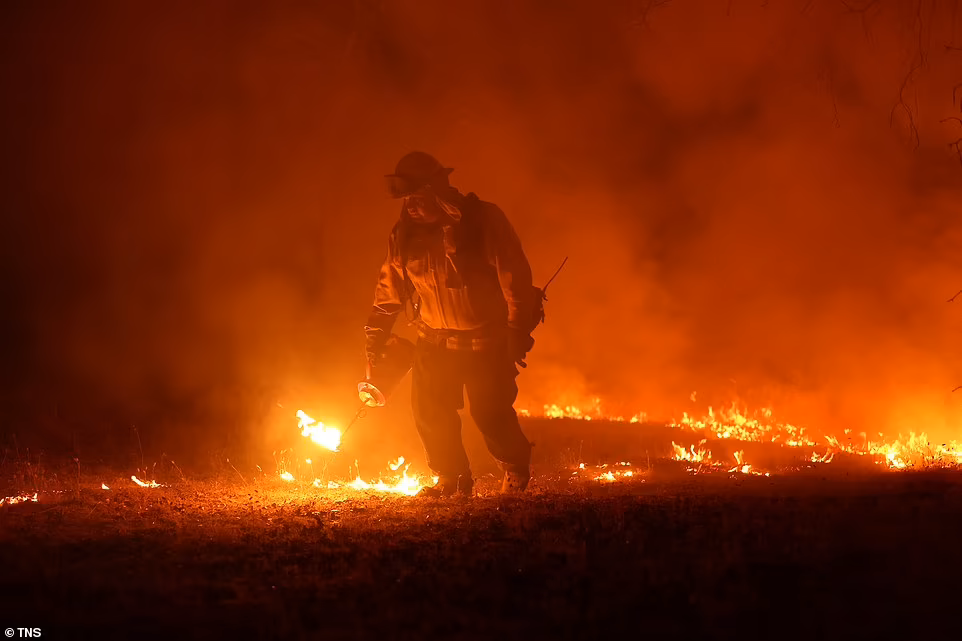 Cháy rừng kinh hoàng ở California, hơn 10.000 người sơ tán - Ảnh 8.