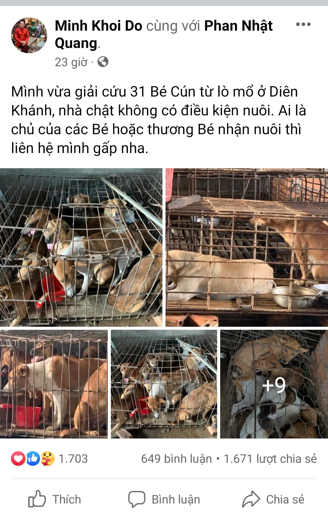24 triệu đồng chuộc mạng 31 bé cún từ lò mổ và gởi tặng người muốn nuôi - Ảnh 1. 24 triệu đồng chuộc mạng 31 bé cún từ lò mổ và gởi tặng người muốn nuôi - Ảnh 1.
