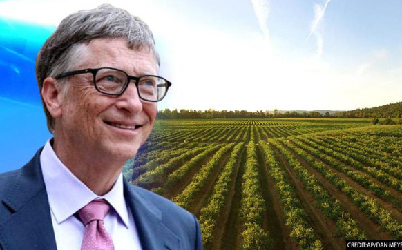 Mua thêm 850ha đất nông nghiệp, tỉ phú Bill Gates thành điền chủ lớn nhất nước Mỹ