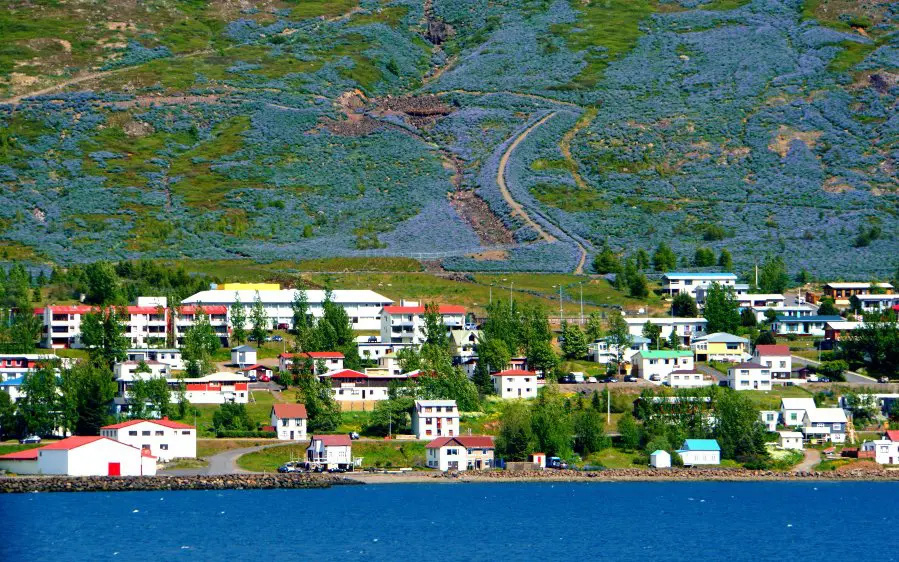 Iceland 14 năm liên tiếp là quốc gia hòa bình nhất thế giới