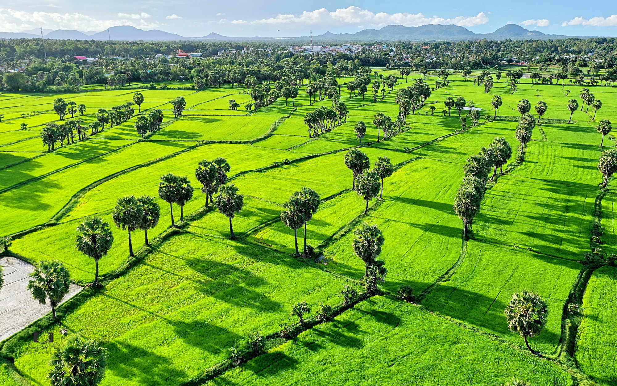 Về Tịnh Biên - An Giang leo núi Cấm, ngắm hoàng hôn trên cánh đồng thốt nốt