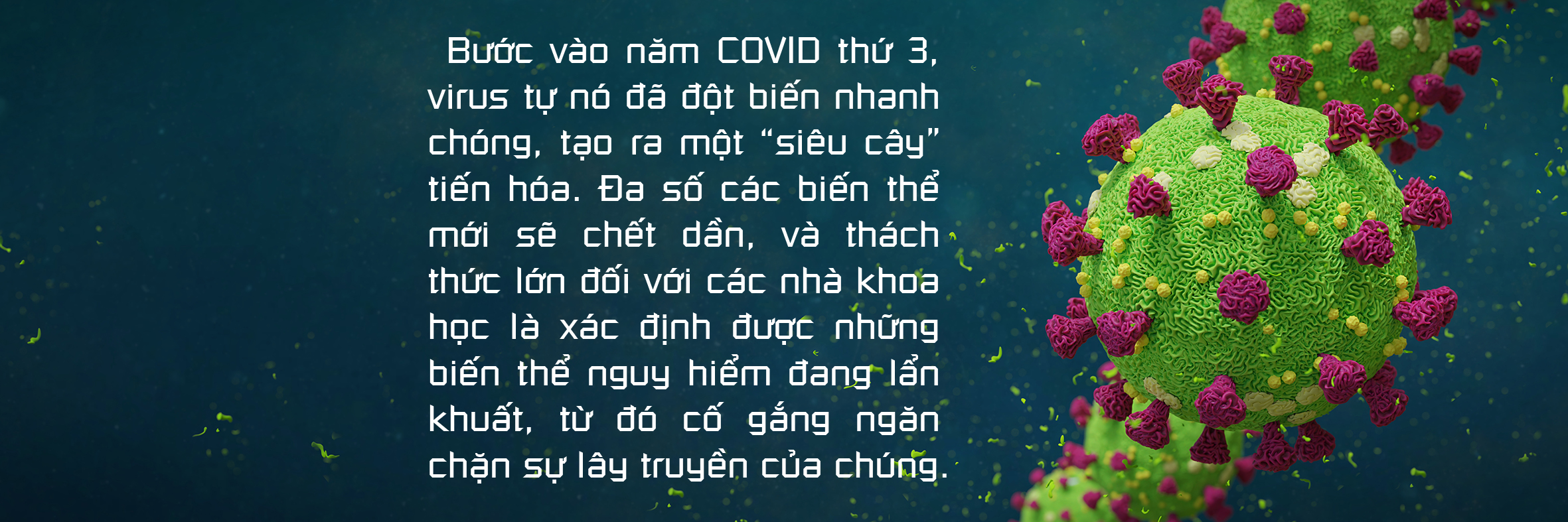  Không thể xem thường COVID-19 ở động vật  - Ảnh 9.