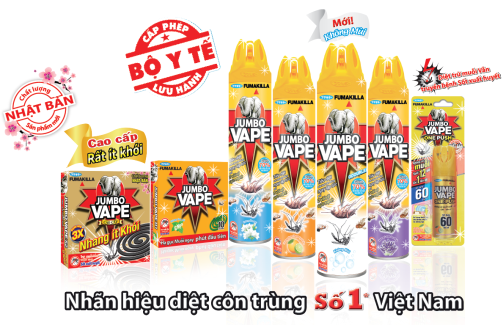 デング熱を予防するために手を取り合って 10 年 - 写真 4.