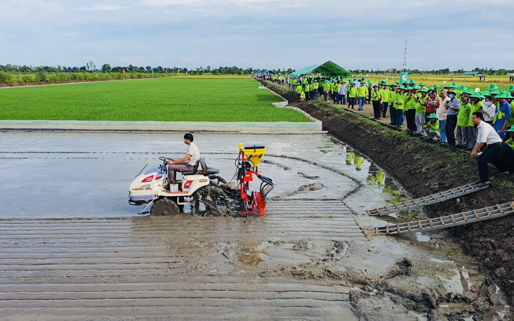 'Canh tác cà phê thông minh' để chống biến đổi khí hậu - Ảnh 5.