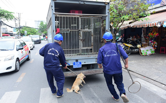 Thành lập đội bắt chó chỉ giải quyết được phần ngọn, muốn làm tận gốc, dễ mà!