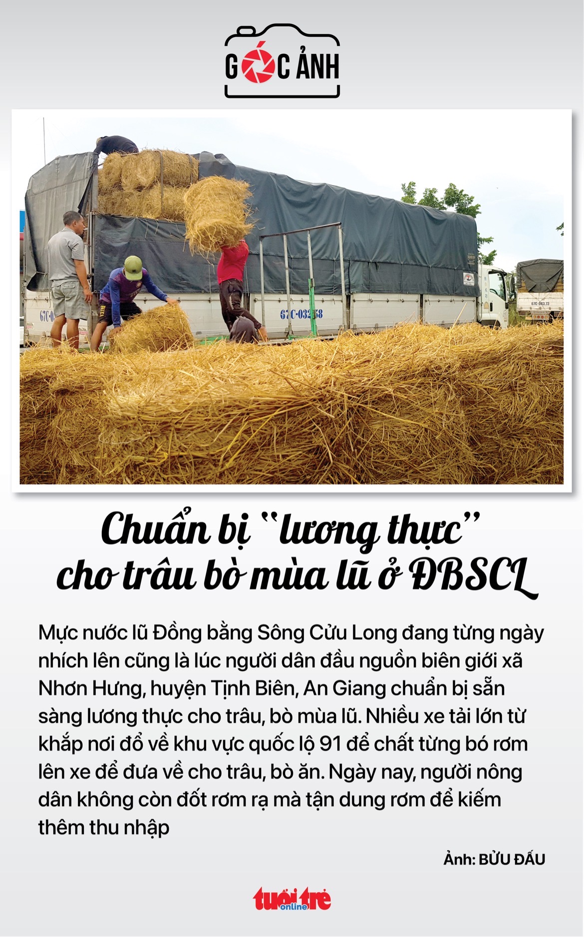 Tin sáng 6-8: Thủ tướng chủ trì họp Ban Chỉ đạo chống dịch COVID-19; Mưa lớn khắp cả nước - Ảnh 3. Tin sáng 6-8: Thủ tướng chủ trì họp Ban Chỉ đạo chống dịch COVID-19; Mưa lớn khắp cả nước - Ảnh 3.