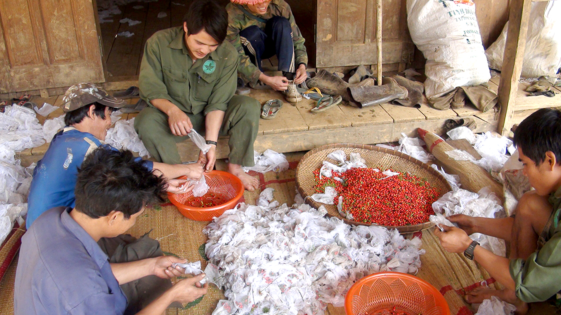 Phát triển Sâm Ngọc Linh thành thương hiệu quốc gia - Ảnh 20.