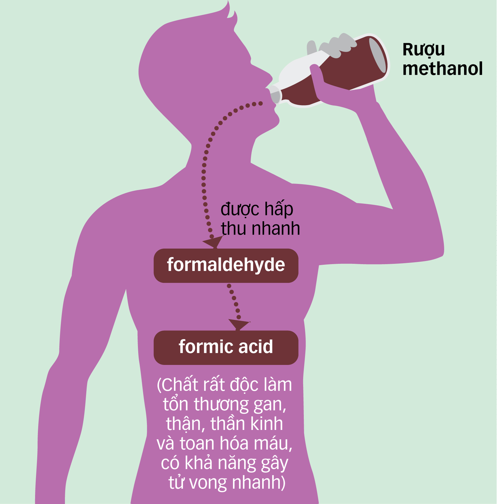 Ngộ độc rượu, tử vong nhanh - Ảnh 2. Ngộ độc rượu, tử vong nhanh - Ảnh 2.