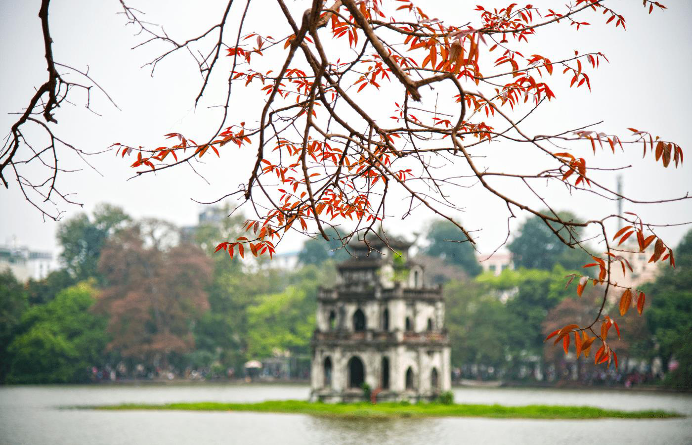 Tour khám phá miền Bắc: Hà Nội - Tuyên Quang - Hà Giang trọn gói từ 6,5 triệu đồng - Ảnh 2. Tour khám phá miền Bắc: Hà Nội - Tuyên Quang - Hà Giang trọn gói từ 6,5 triệu đồng - Ảnh 2.