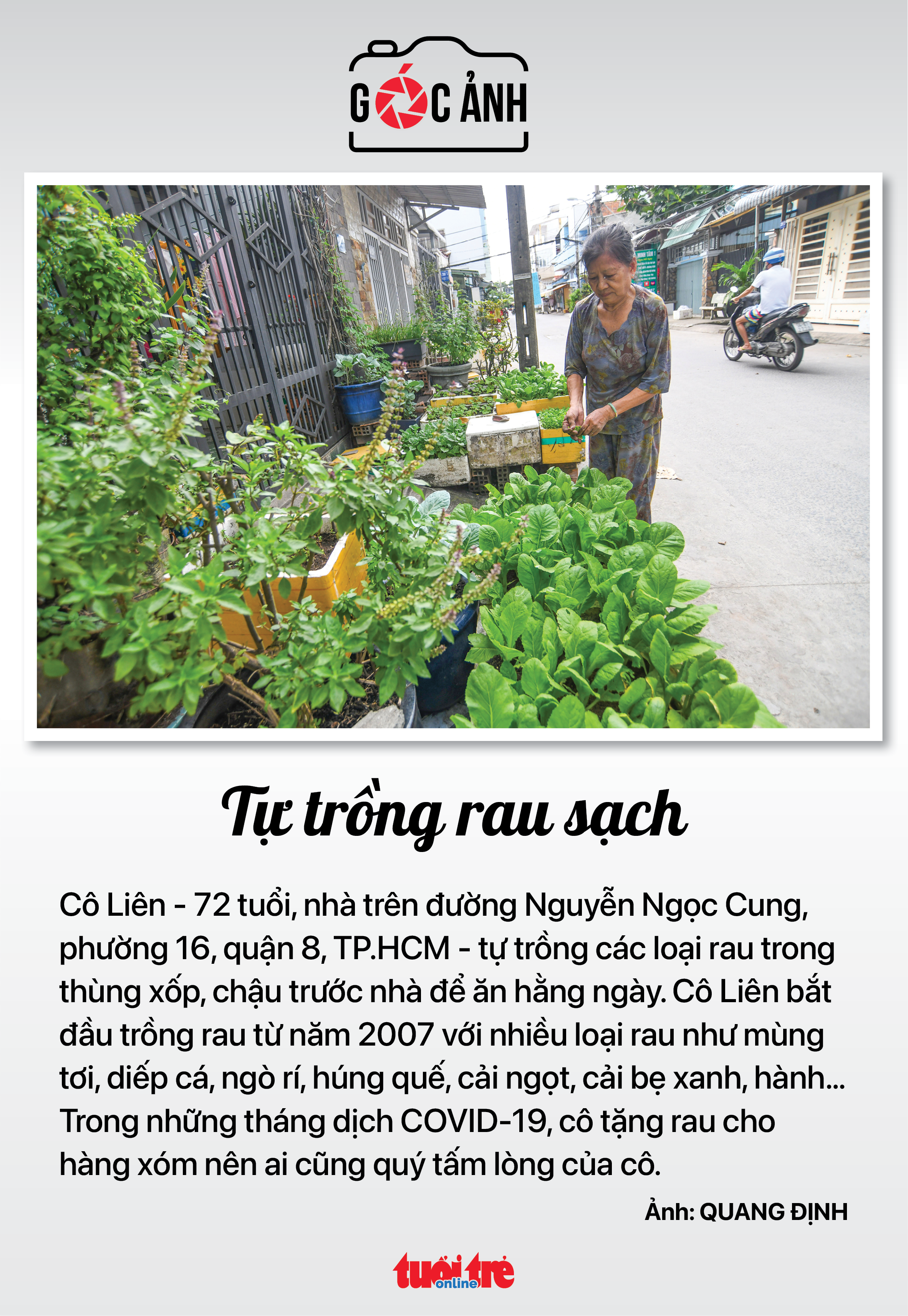 Tin sáng 20-9: Ca sốt xuất huyết ở Hà Nội tăng 4,5 lần; Giá heo gà giảm thêm, giá trứng vẫn cao - Ảnh 8. Tin sáng 20-9: Ca sốt xuất huyết ở Hà Nội tăng 4,5 lần; Giá heo gà giảm thêm, giá trứng vẫn cao - Ảnh 8.