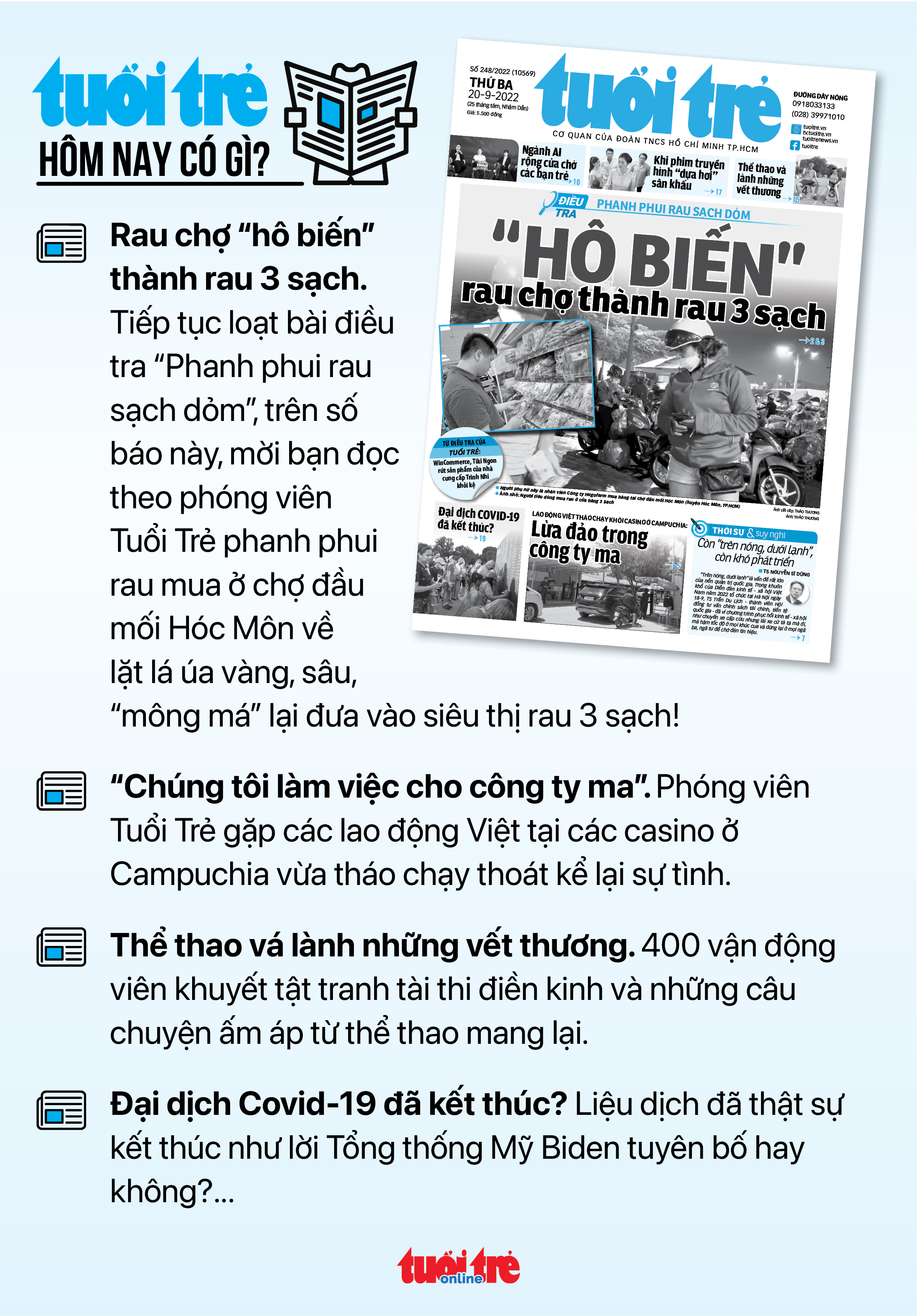 Tin sáng 20-9: Ca sốt xuất huyết ở Hà Nội tăng 4,5 lần; Giá heo gà giảm thêm, giá trứng vẫn cao - Ảnh 6. Tin sáng 20-9: Ca sốt xuất huyết ở Hà Nội tăng 4,5 lần; Giá heo gà giảm thêm, giá trứng vẫn cao - Ảnh 6.