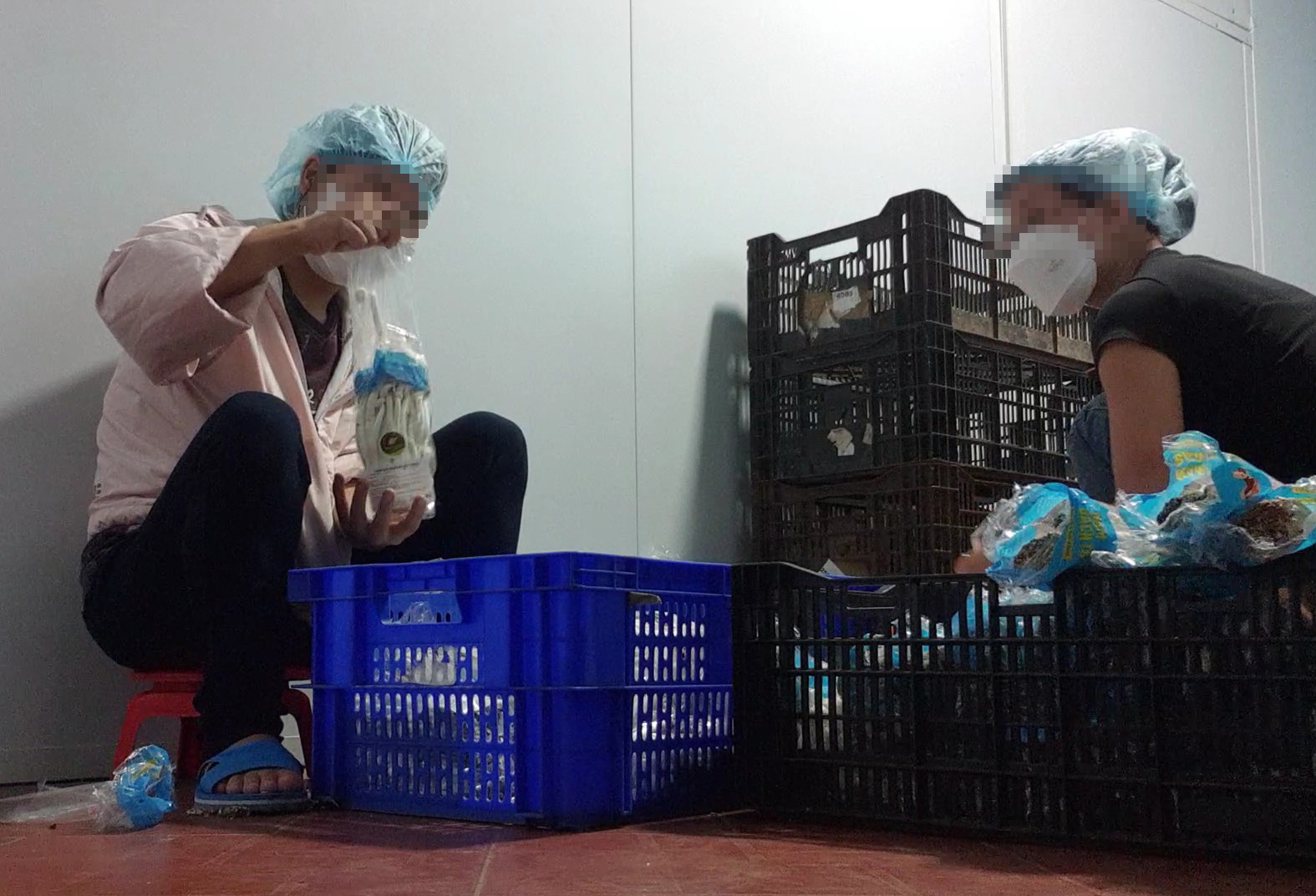 Rau, nấm đội lốt vô siêu thị: Hủy hoại niềm tin của người tiêu dùng thông thái - Ảnh 1. Rau, nấm đội lốt vô siêu thị: Hủy hoại niềm tin của người tiêu dùng thông thái - Ảnh 1.