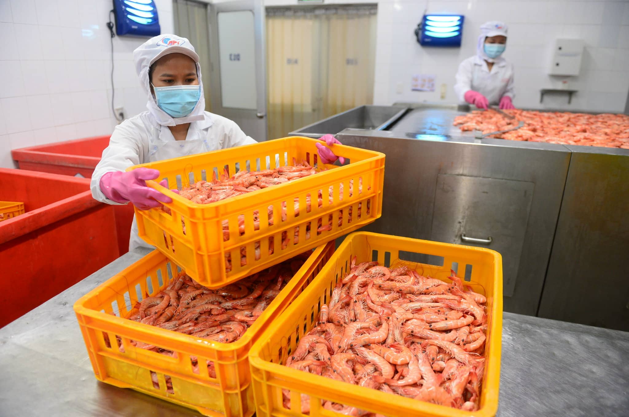 Tin sáng 24-9: Khởi công cầu Nhơn Trạch TP.HCM; Tôm xuất khẩu của Việt Nam tăng tốt - Ảnh 2. Tin sáng 24-9: Khởi công cầu Nhơn Trạch TP.HCM; Tôm xuất khẩu của Việt Nam tăng tốt - Ảnh 2.