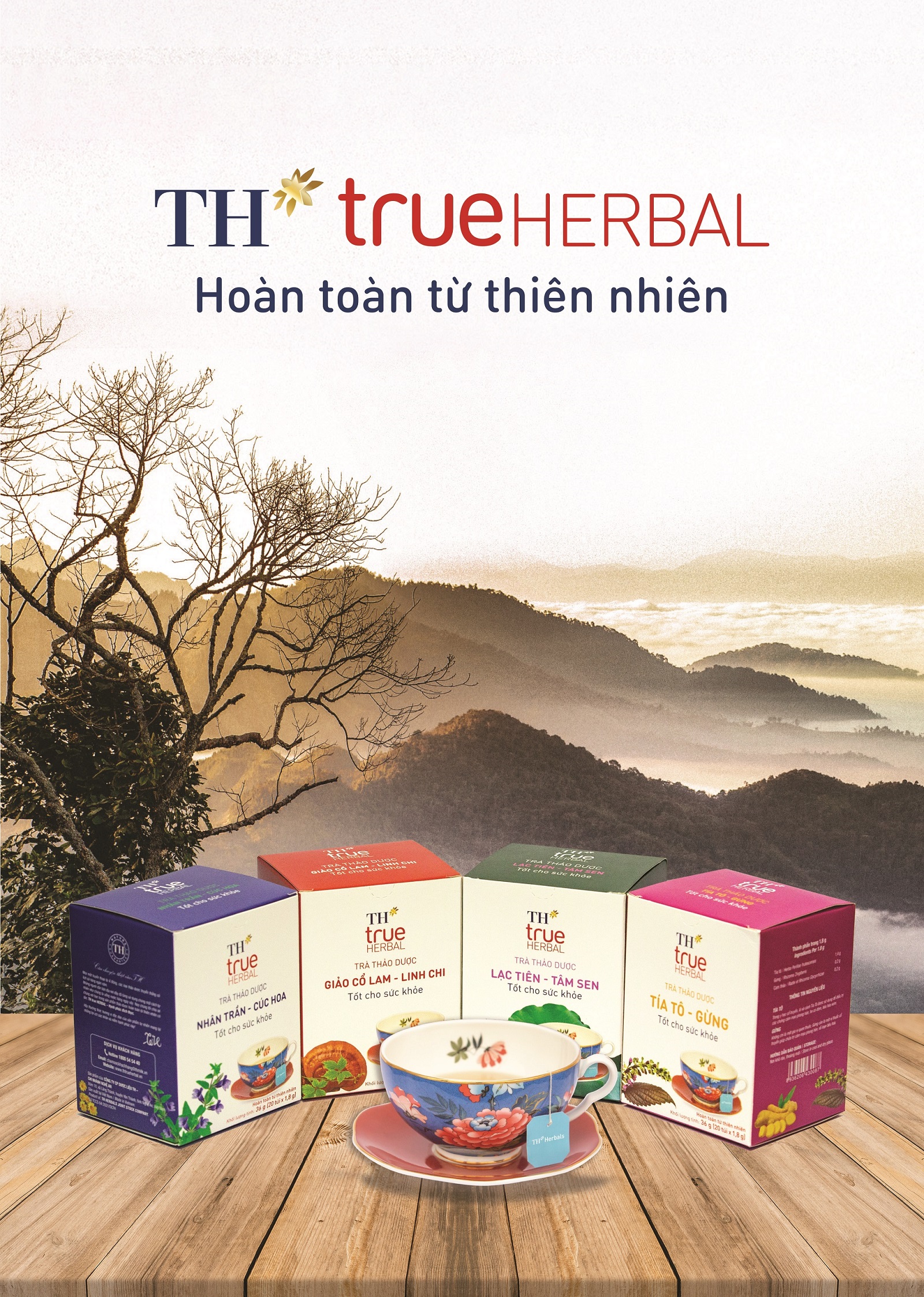 KV TH true Herbal_dang bao KV TH true Herbal_dang bao