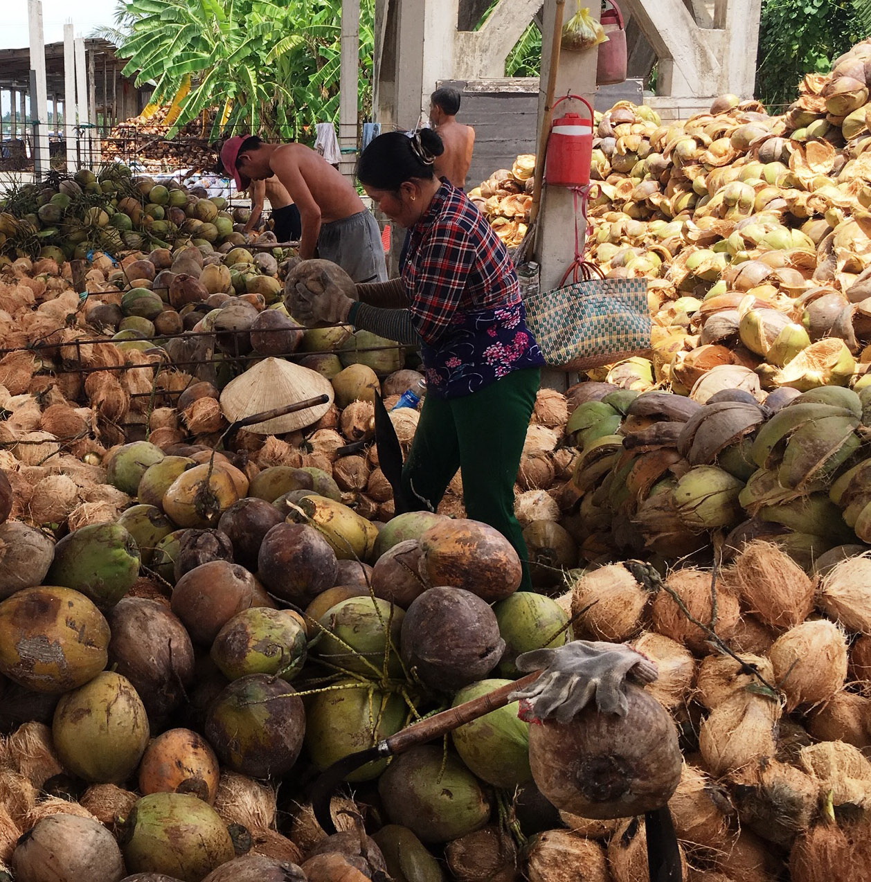 Độc đáo chợ dừa nổi Bến Tre - Kỳ 3: Biến tấu nước dừa khô một thời đổ bỏ - Ảnh 2.