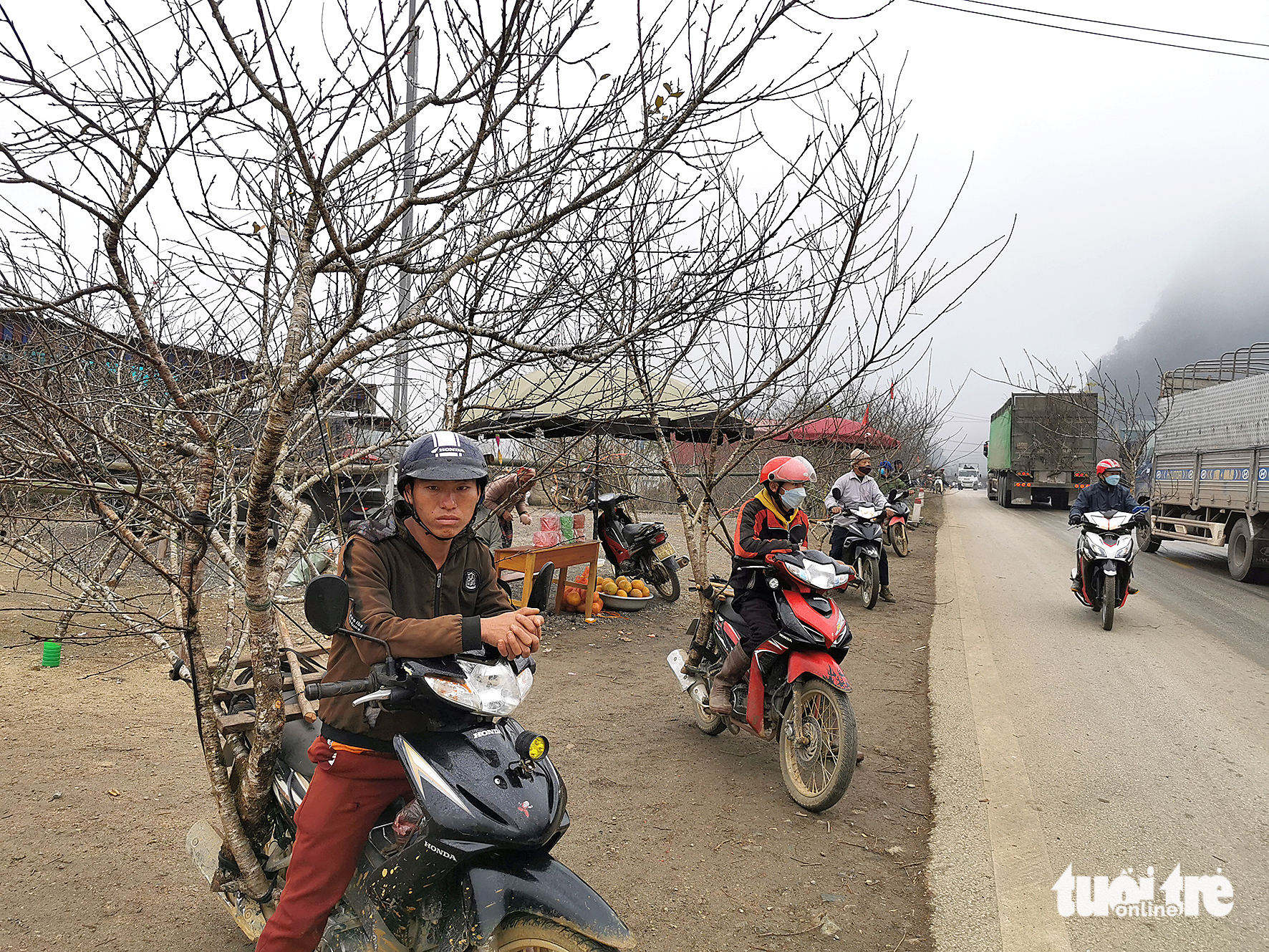 Chào bán đào ven quốc lộ 6 (Sơn La) - Ảnh: VŨ TUẤN