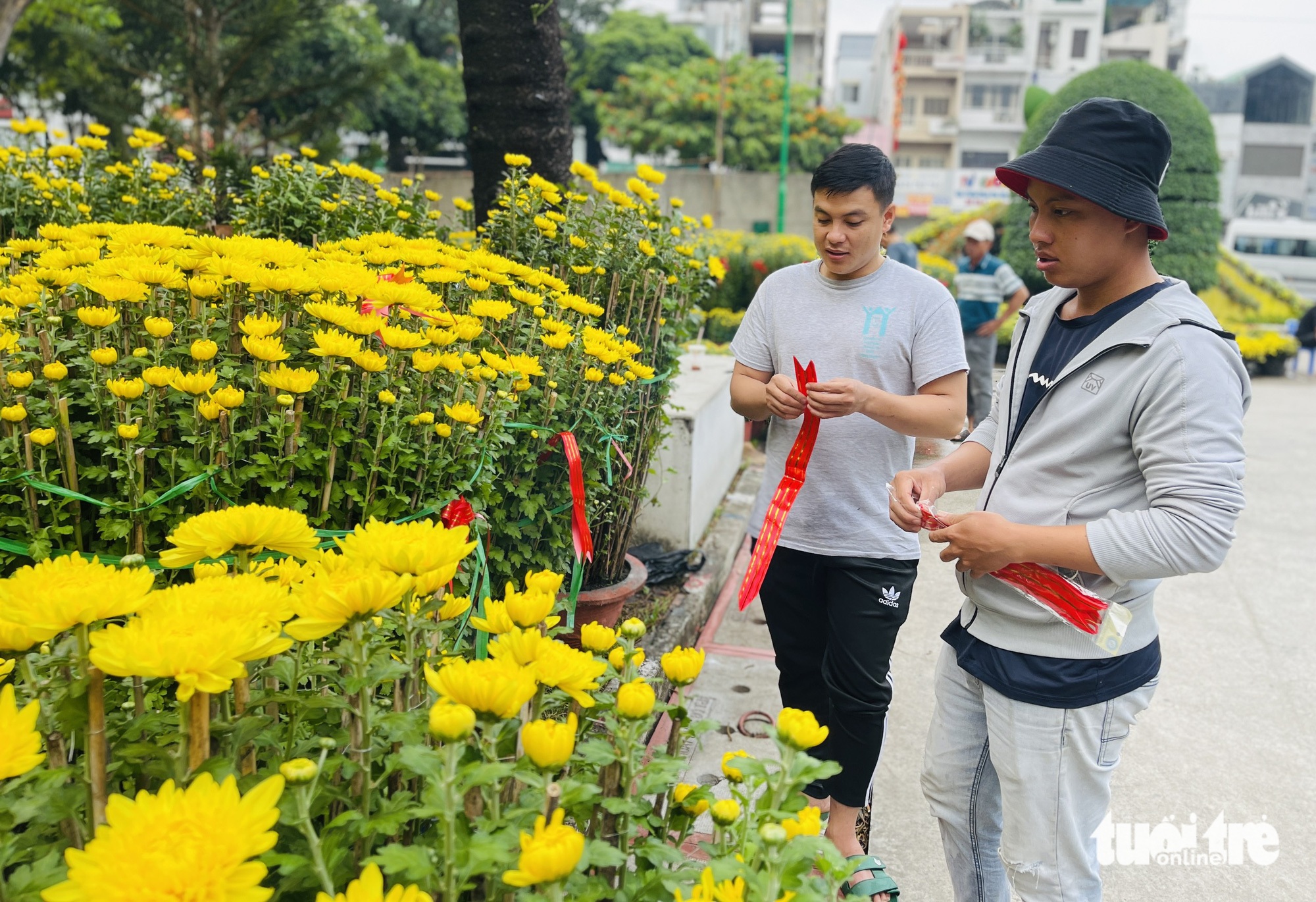 TP.HCM đồng loạt khai trương chợ hoa Tết - Ảnh 1.