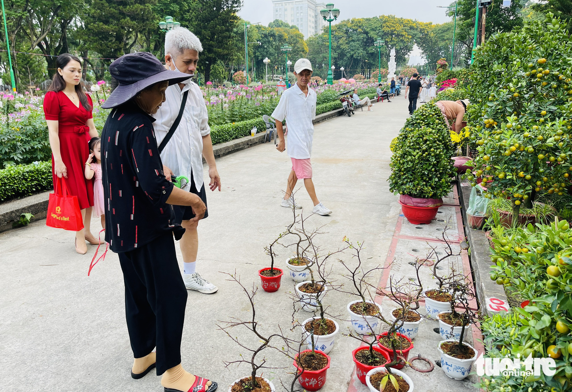 TP.HCM đồng loạt khai trương chợ hoa Tết - Ảnh 2.