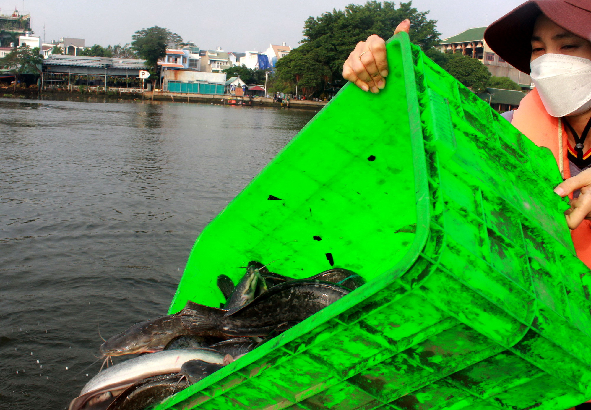 Người dân dậy từ sáng sớm chèo ghe ra sông thả cá chép đưa ông Công, ông Táo về trời - Ảnh 9.