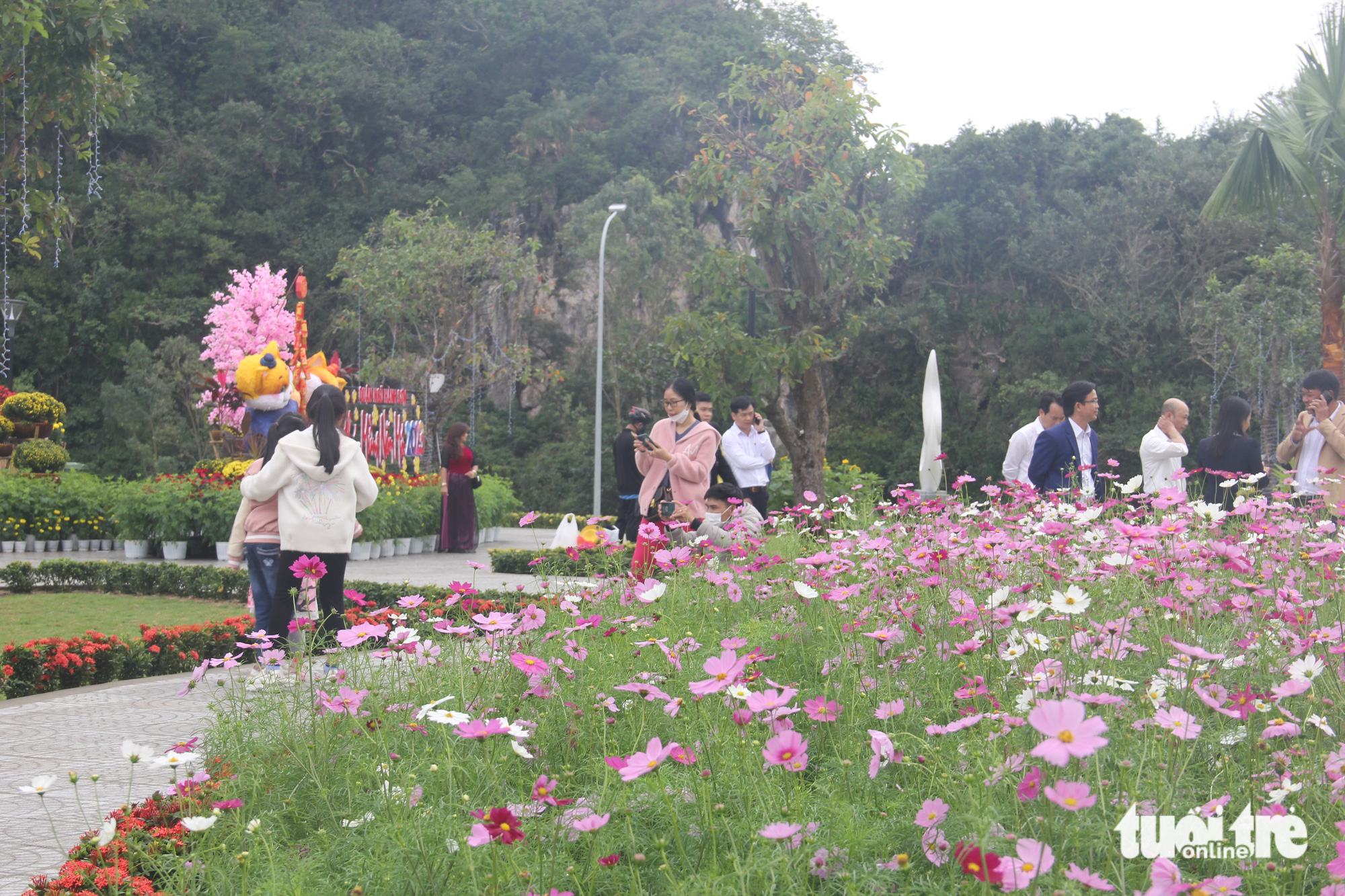 Đà Nẵng mở vườn hoa xuân dưới núi Ngũ Hành Sơn - Ảnh 2.