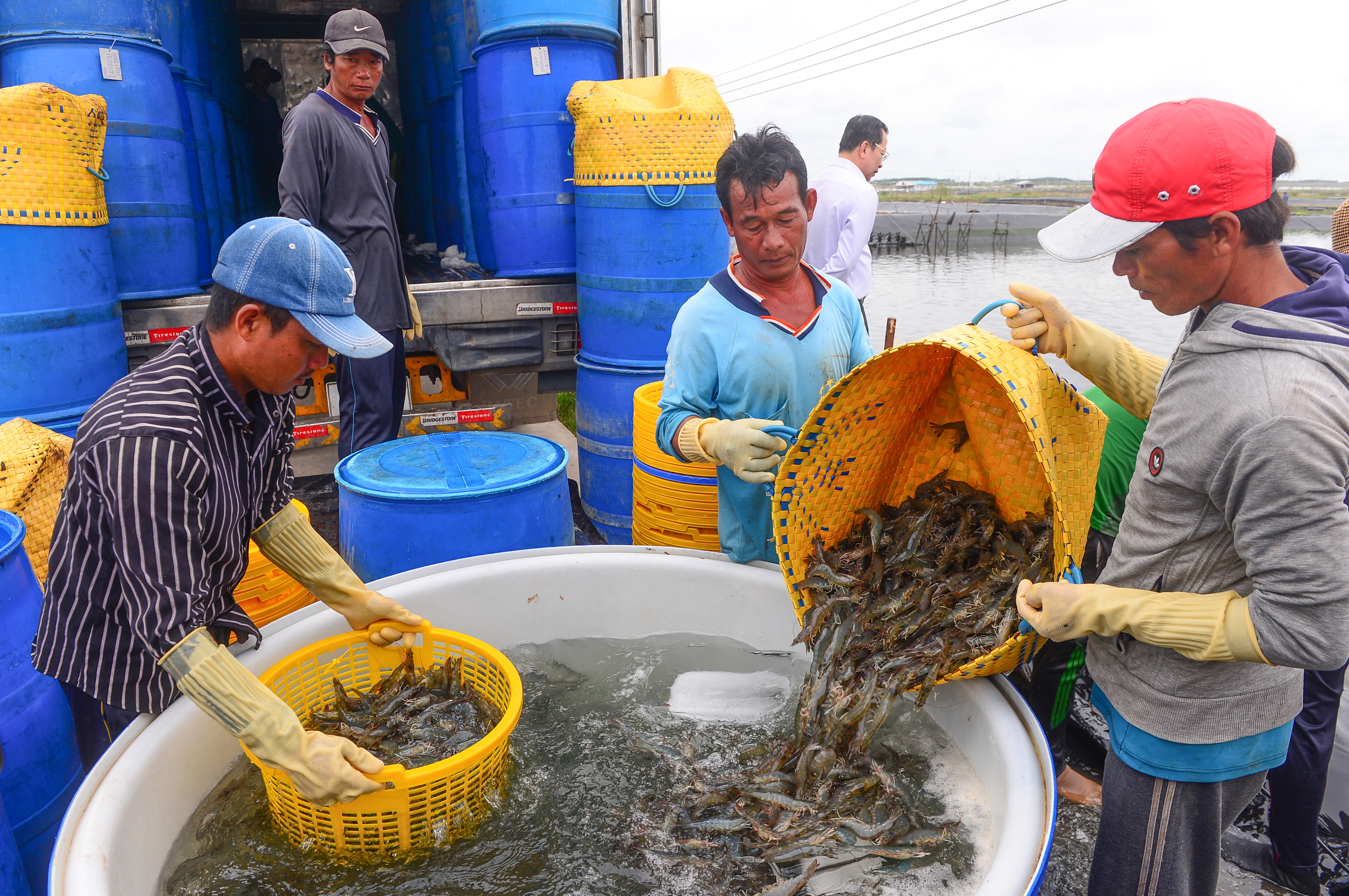 Hàng Việt xuất khẩu TOP đầu thế giới - Ảnh 3.