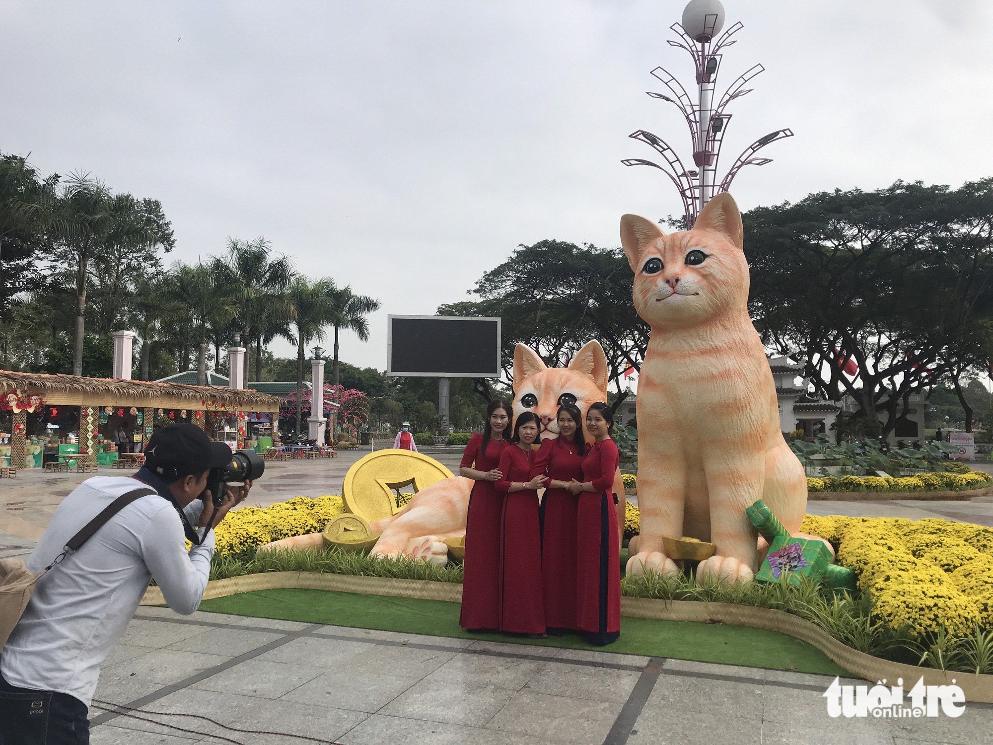 Xếp hàng chụp ảnh với mèo tại đường hoa Cao Lãnh - Ảnh 3.