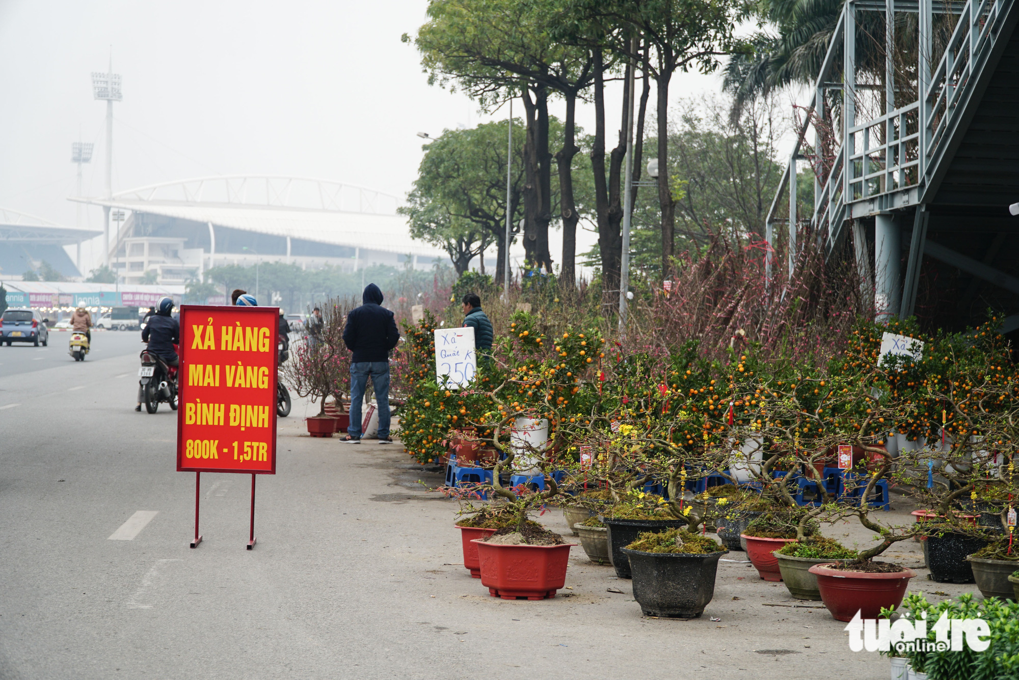 Hà Nội: lan hồ điệp ‘sale sập sàn’ vẫn vắng khách mua - Ảnh 3.