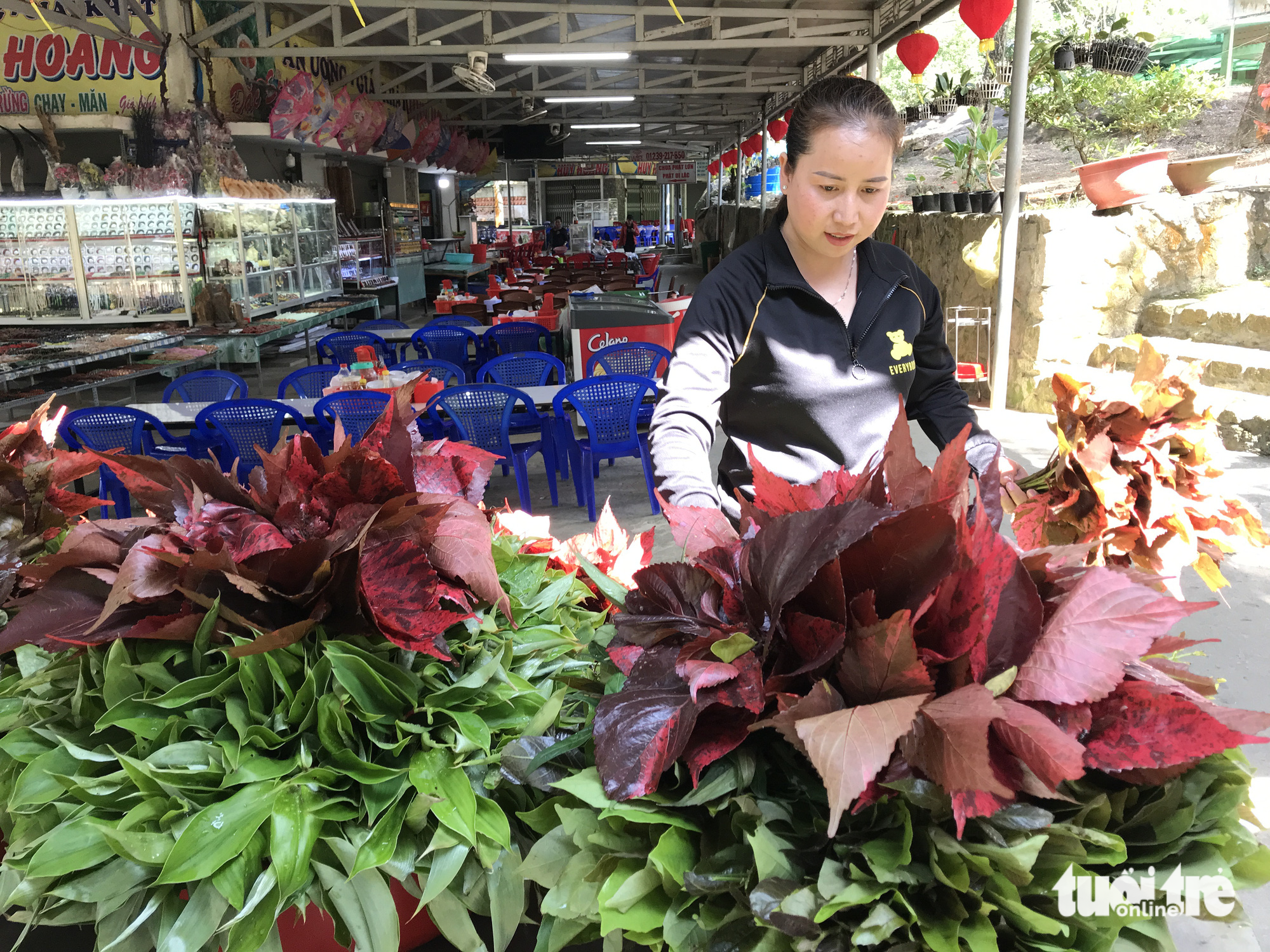 Tết của những người sống nương nhờ núi Cấm - Ảnh 4.