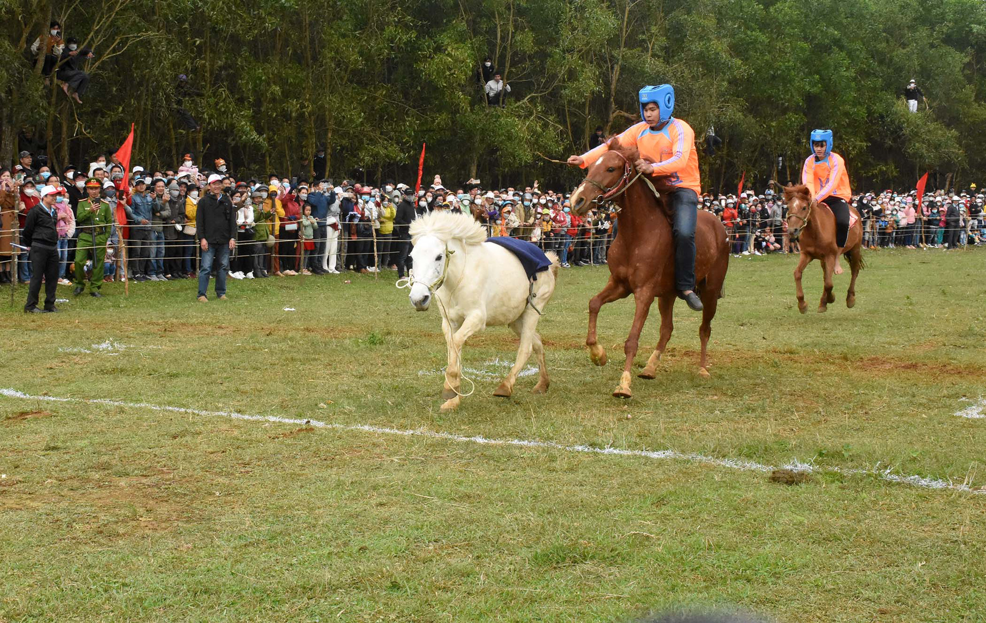 Cười bò với hội đua ngựa mỗi năm chỉ một lần tổ chức vào dịp Tết - Ảnh 7.