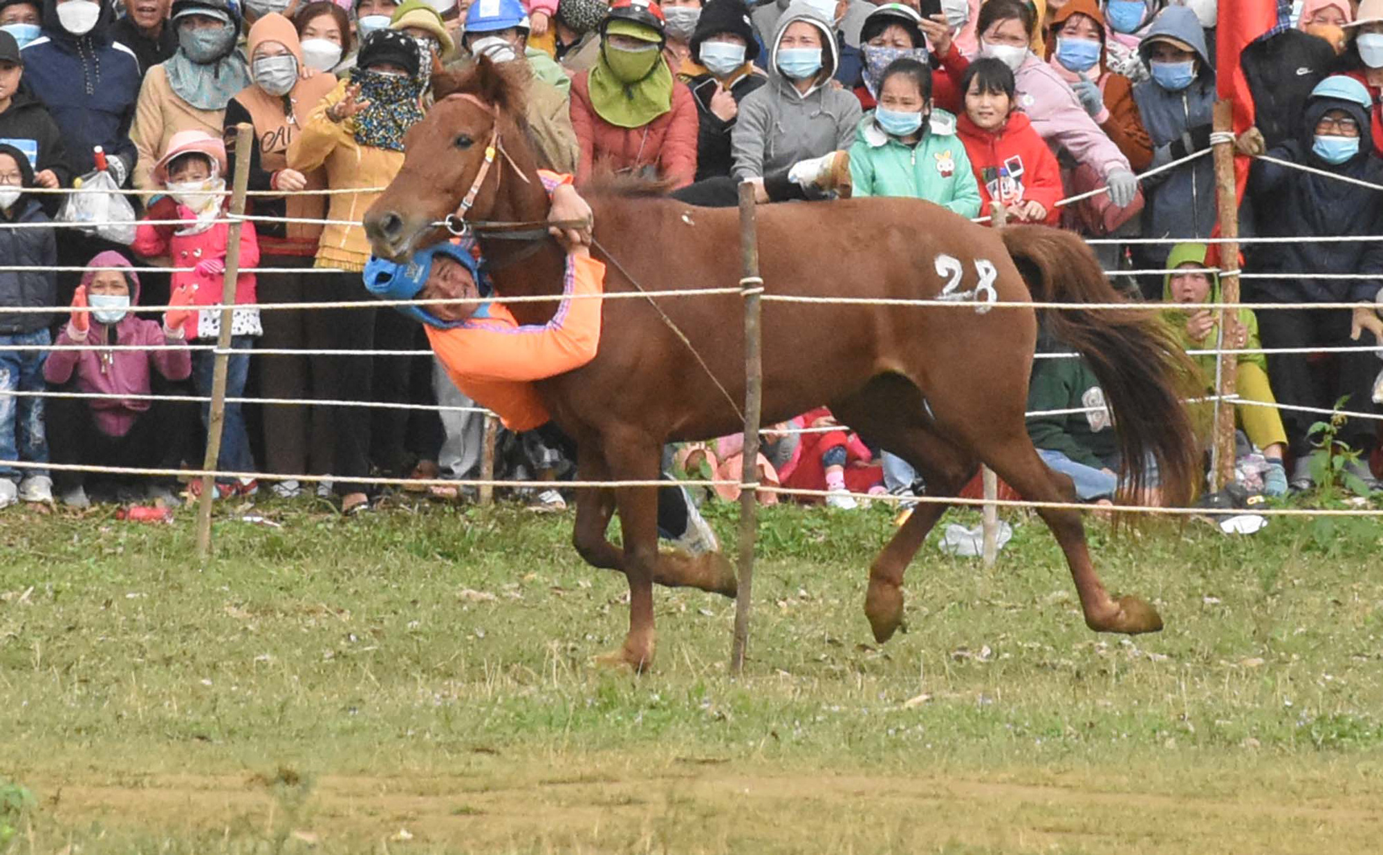 Cười bò với hội đua ngựa mỗi năm chỉ một lần tổ chức vào dịp Tết - Ảnh 8.