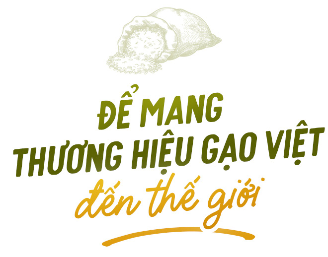 Gạo Việt Nam tự tin xuất hiện trên kệ hàng thế giới - Ảnh 8.