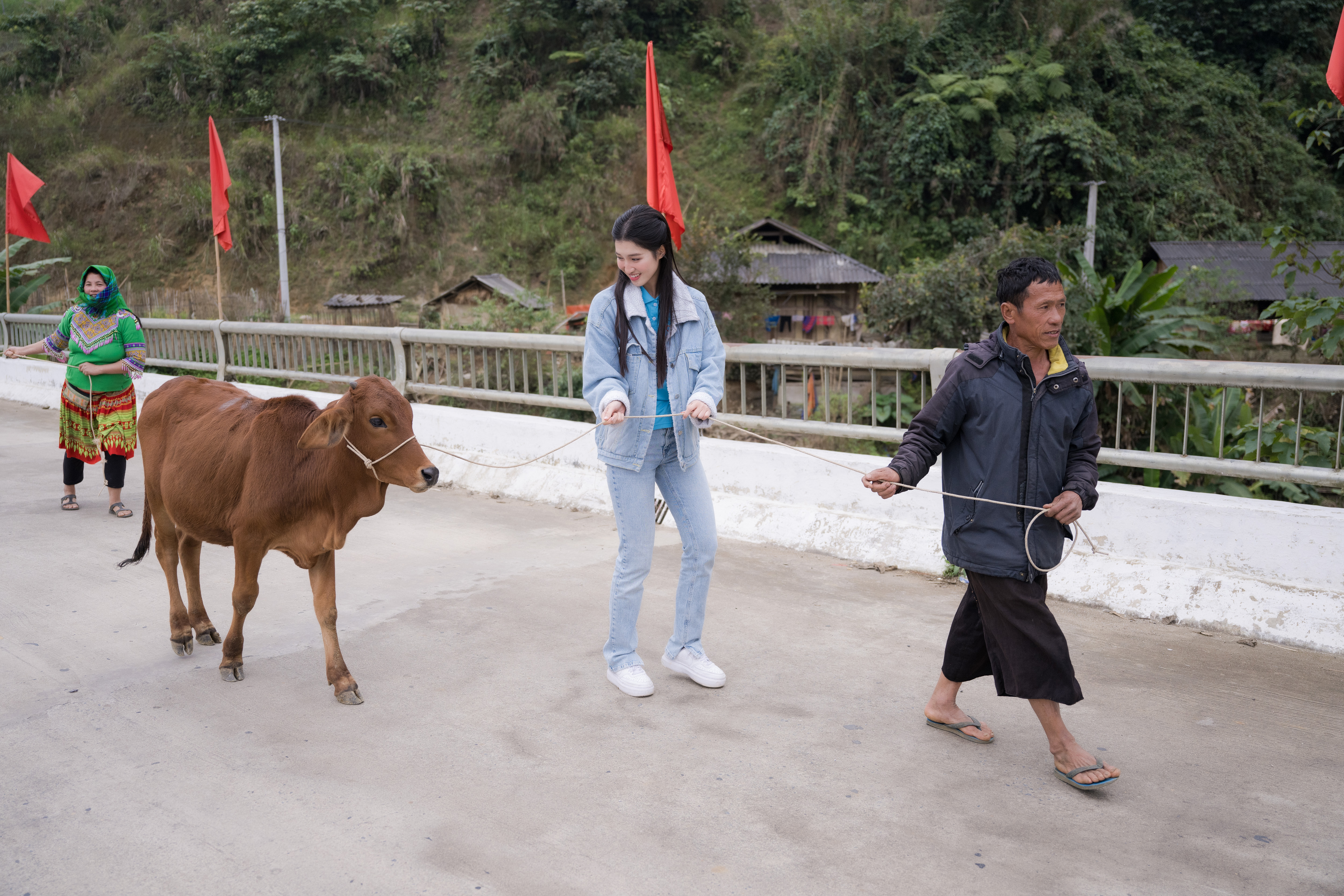 Ô là la, ra mà xem á hậu Phương Nhi dẫn bò về làng - Ảnh 4. Ô là la, ra mà xem á hậu Phương Nhi dẫn bò về làng - Ảnh 4.