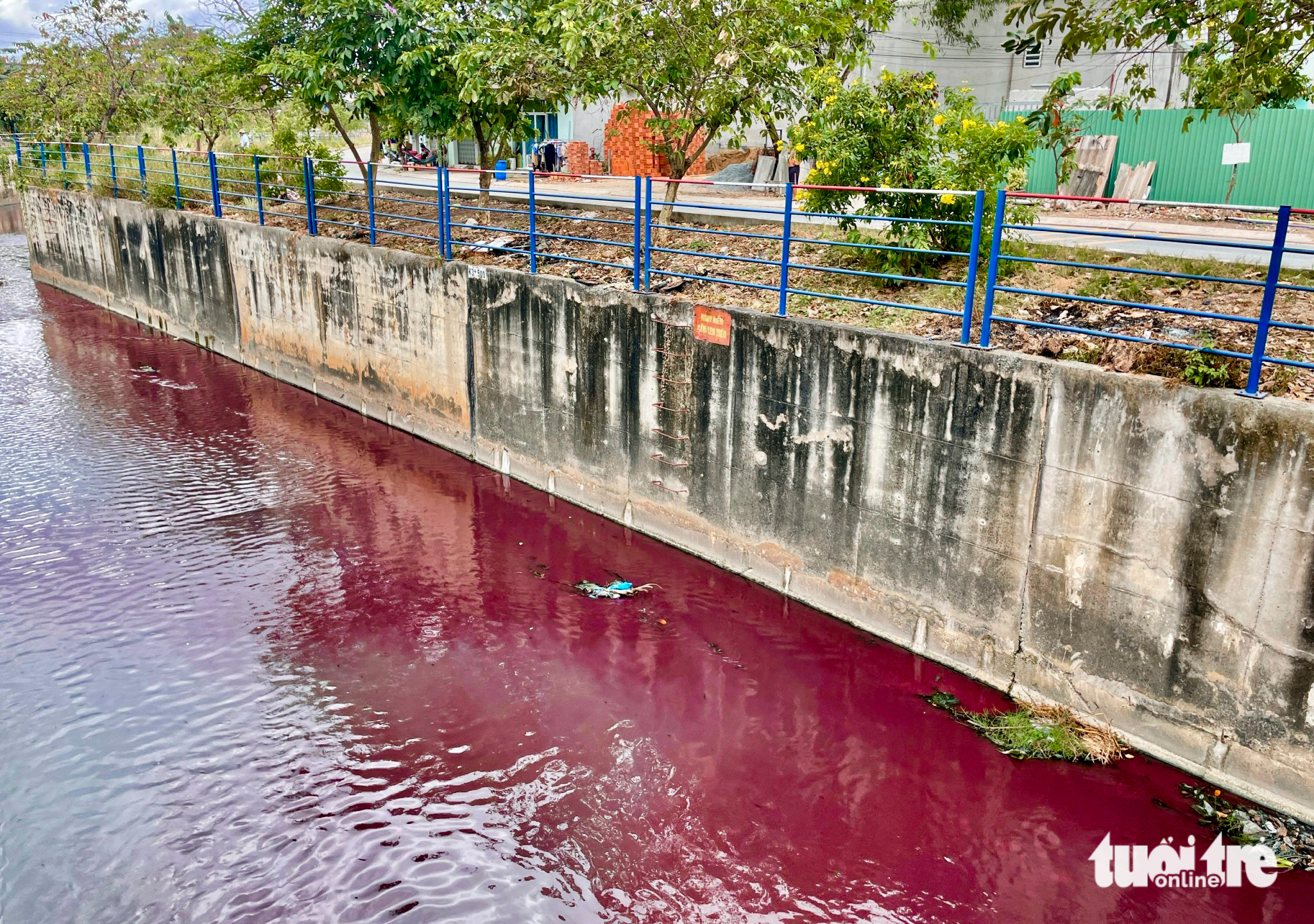 TP Thủ Đức: Nước kênh chuyển màu đỏ thẫm, người dân hoang mang - Ảnh 2.