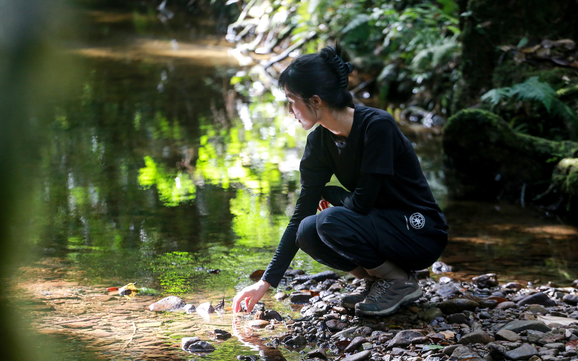 Cỏ hồng phủ sương tuyết, Đà Lạt càng thêm kỳ ảo- Ảnh 10. Cỏ hồng phủ sương tuyết, Đà Lạt càng thêm kỳ ảo- Ảnh 10.