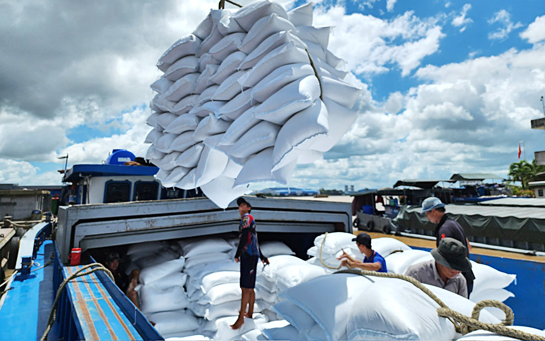 Giá lúa gạo sẽ còn tăng