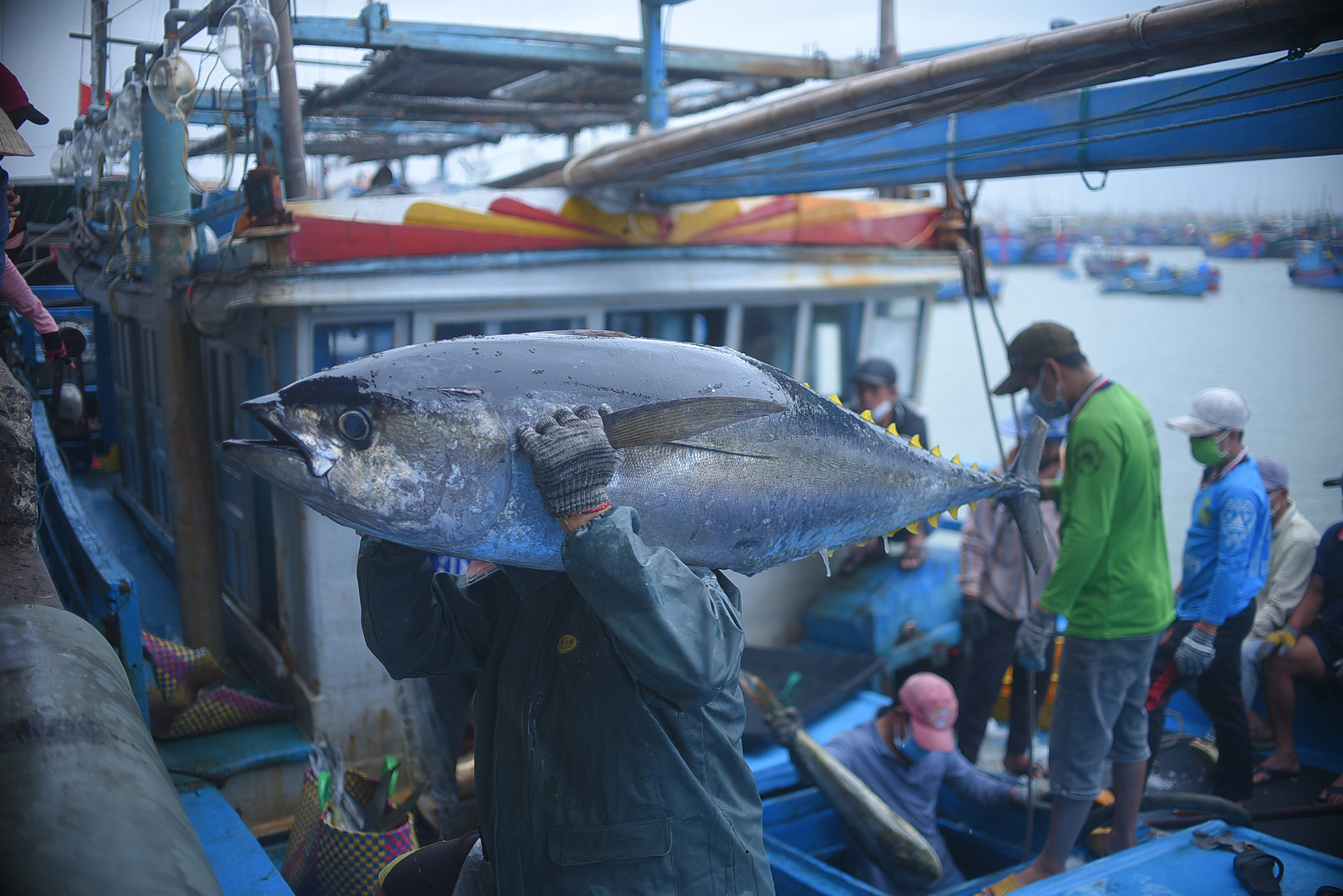 ビンディン漁師のマグロ漁船が岸壁に到着 - 写真: LAM THIEN