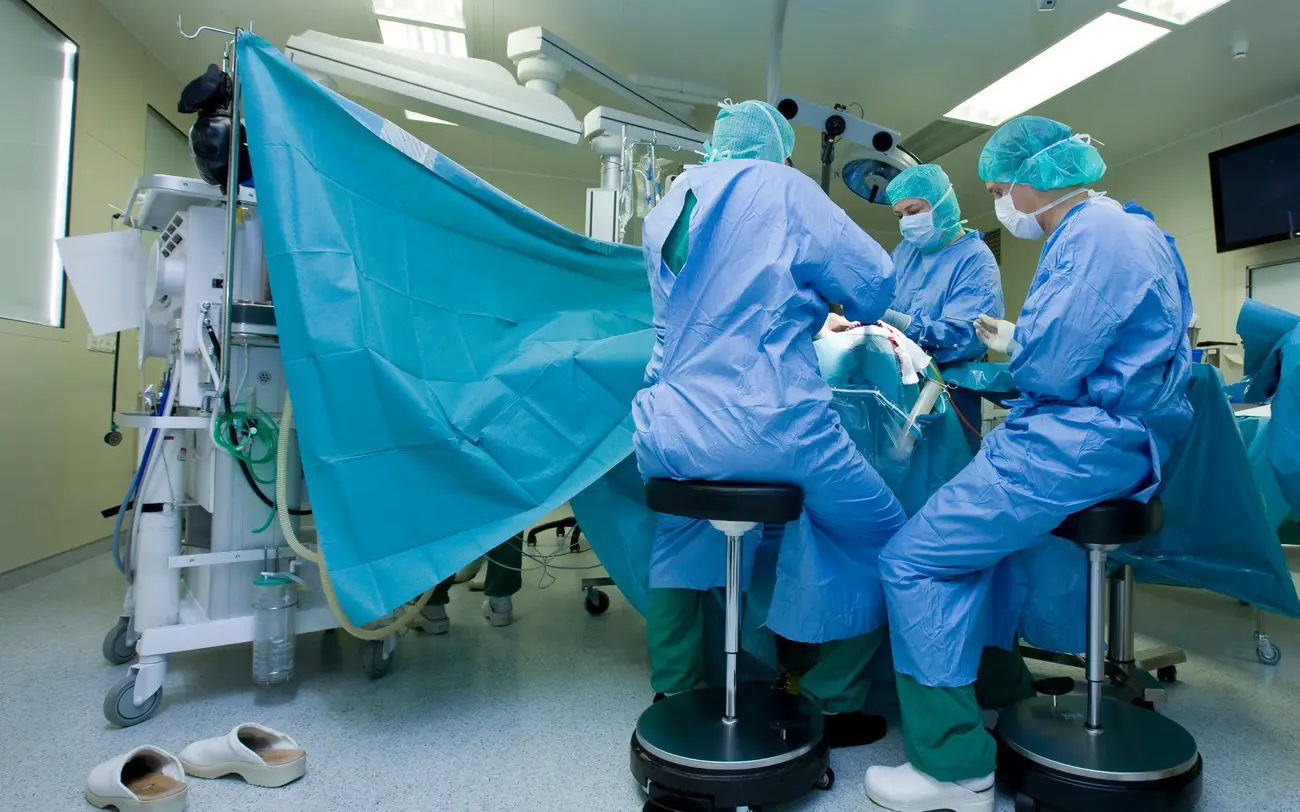 Phát hiện não 12.000 năm tuổi, có cơ chế bí mật mà khoa học chưa biết?- Ảnh 3. Bác sĩ Mỹ mổ 10 tiếng