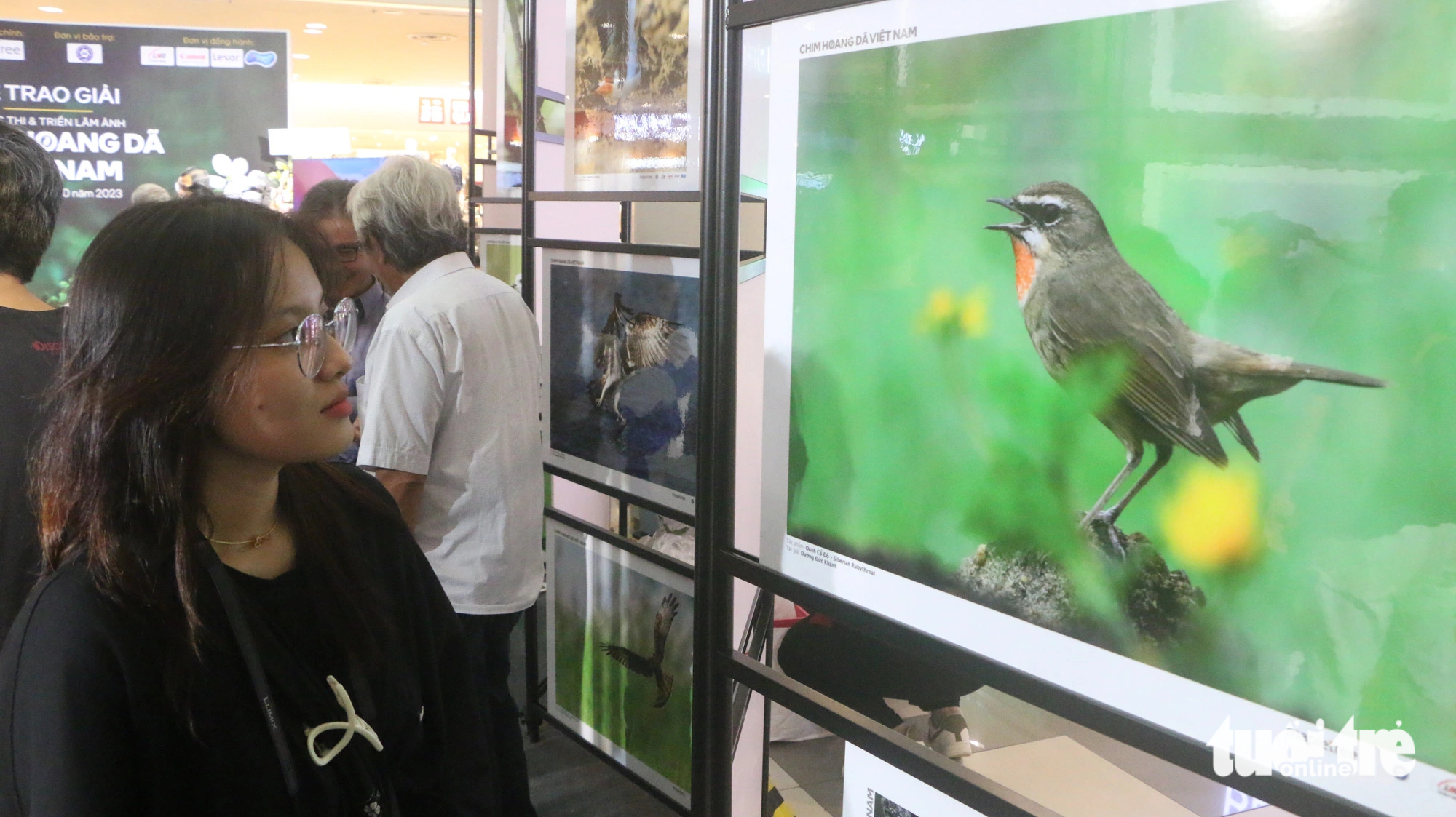 Kim Huong (19 years old, District 8, Ho Chi Minh City) attentively looks at the photo of Siberian Rubythroat by author Duong Duc Khanh - Photo: THAI THAI