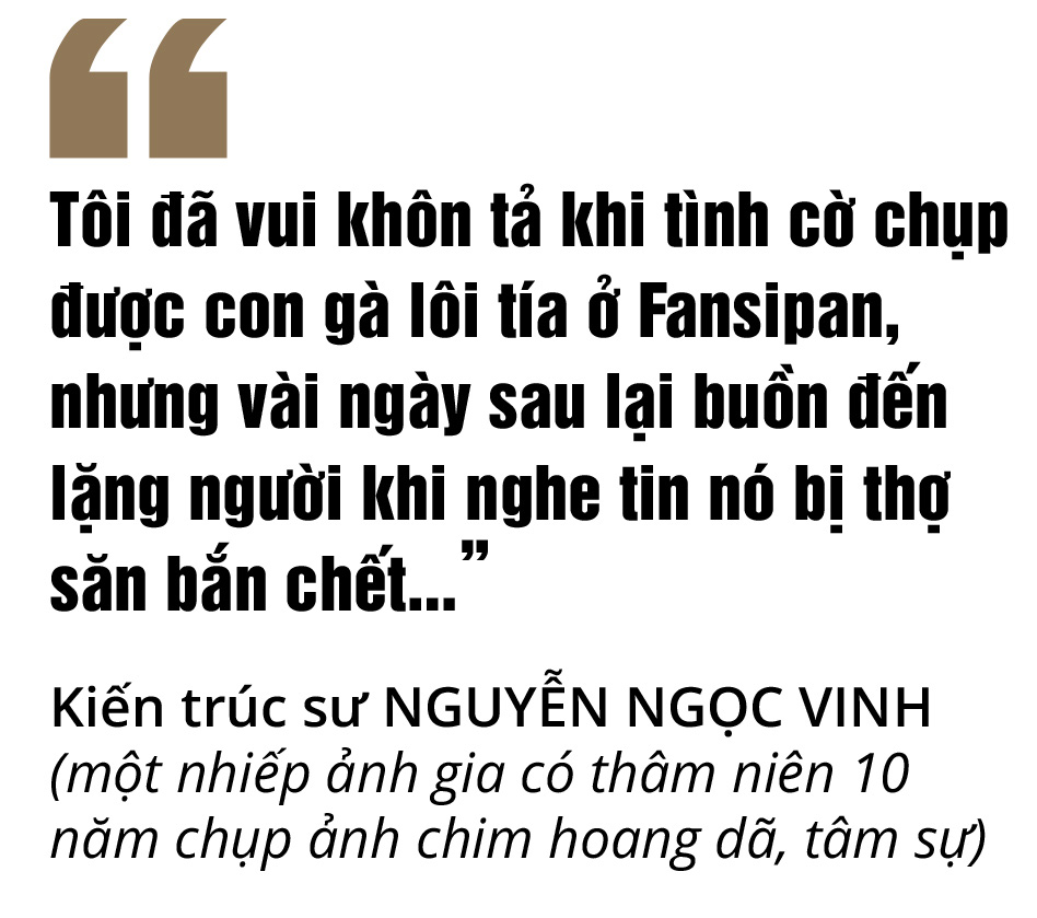 Một cánh chim, một khoảnh khắc và một nỗi lo... - Ảnh 2.