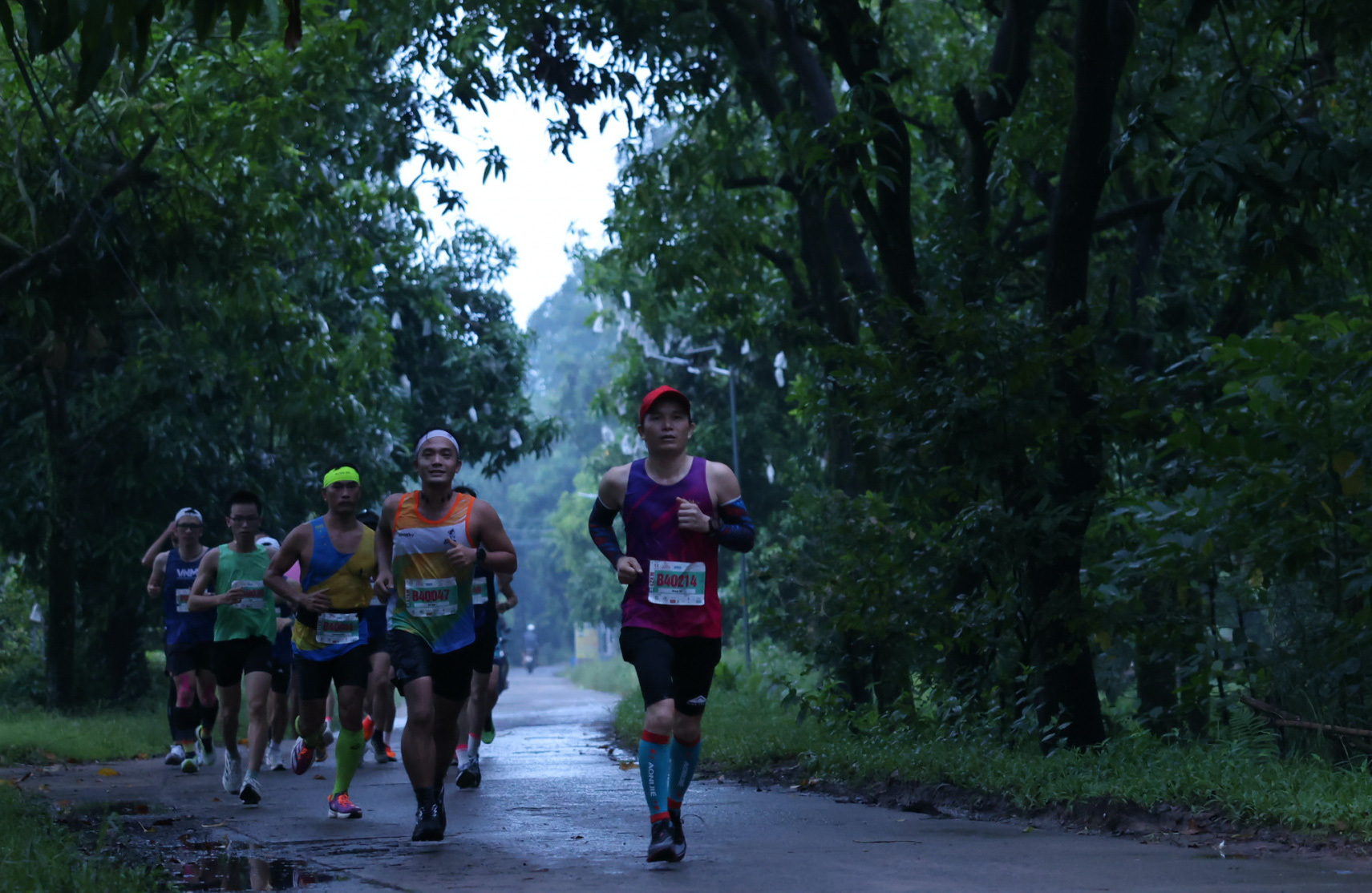 Check-in đường chạy chuẩn quốc tế tại Giải marathon Đất sen hồng - Tuổi ...