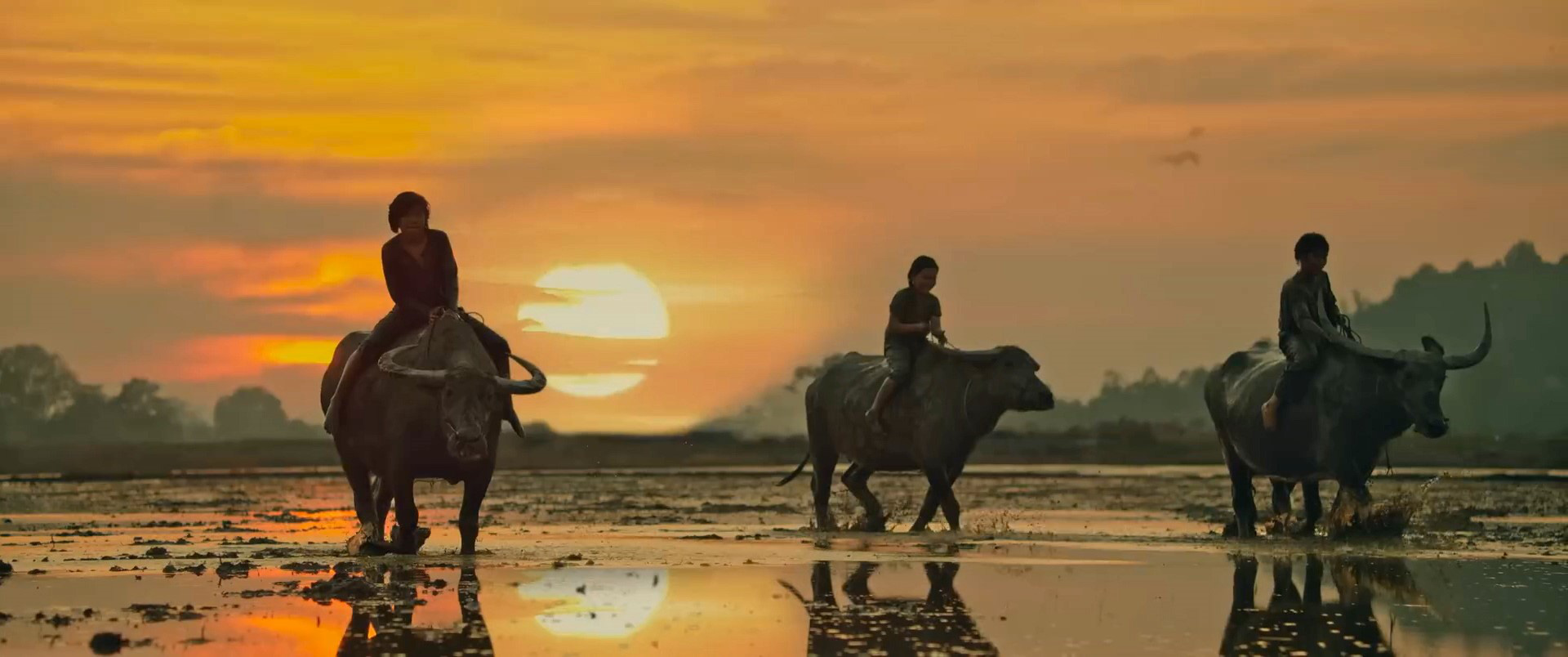 見聞きするニュース:劇場での南部森林土地交換 - 写真1。 映画『サザン・フォレスト・ランド』の一場面