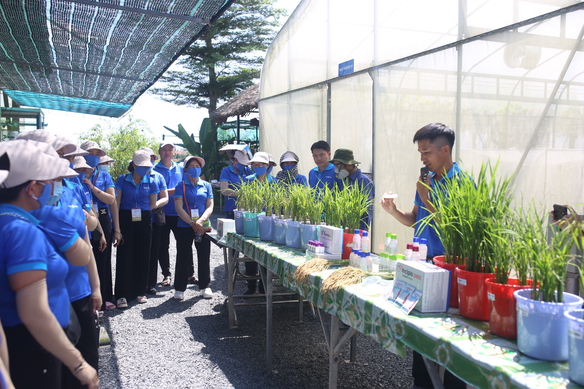 Syngenta Việt Nam nâng bước "Phụ nữ nông thôn" - Ảnh 4. Chị em phụ nữ tham gia trải nghiệm cùng mô hình của Syngenta - Ảnh: P.D.