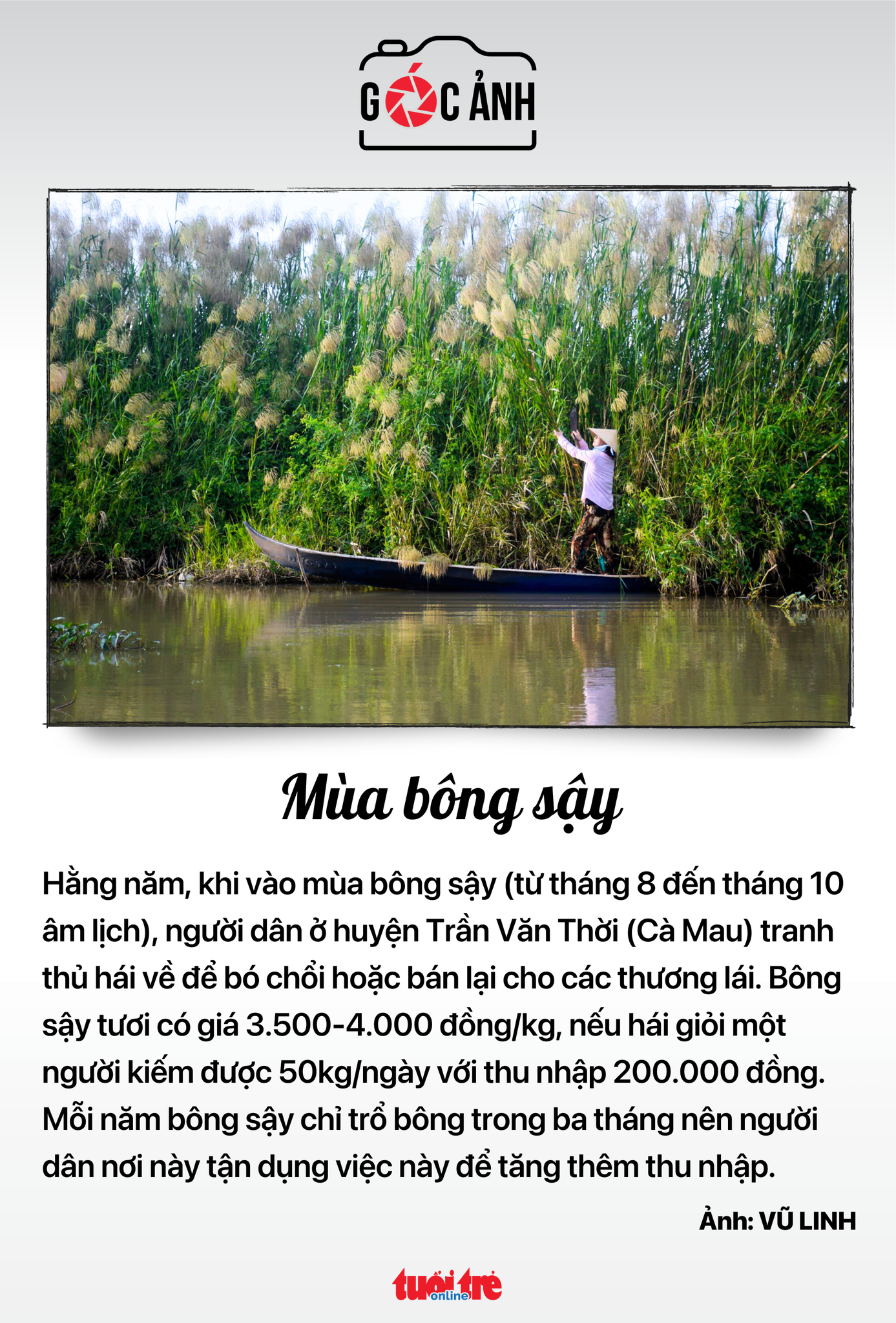 10月22日朝のニュース:副首相、工事の回避や押し付け行為を即時に発見し対処するよう要請 - 写真6。 10月22日朝のニュース:副首相、工事の回避や押し付け行為を即時に発見し対処するよう要請 - 写真6。